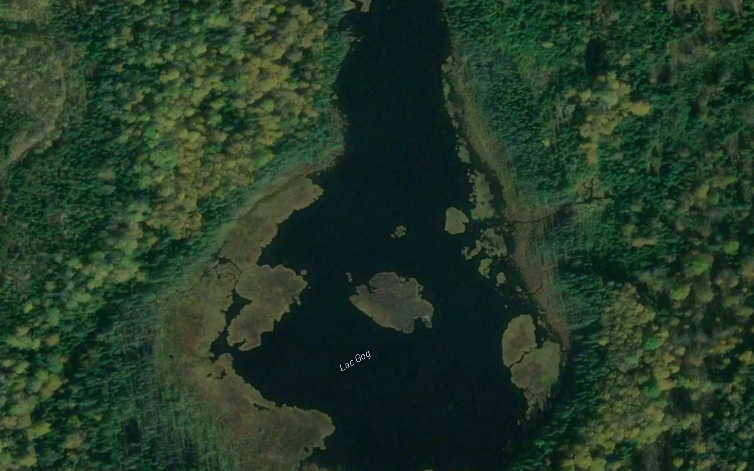 Lac Gog