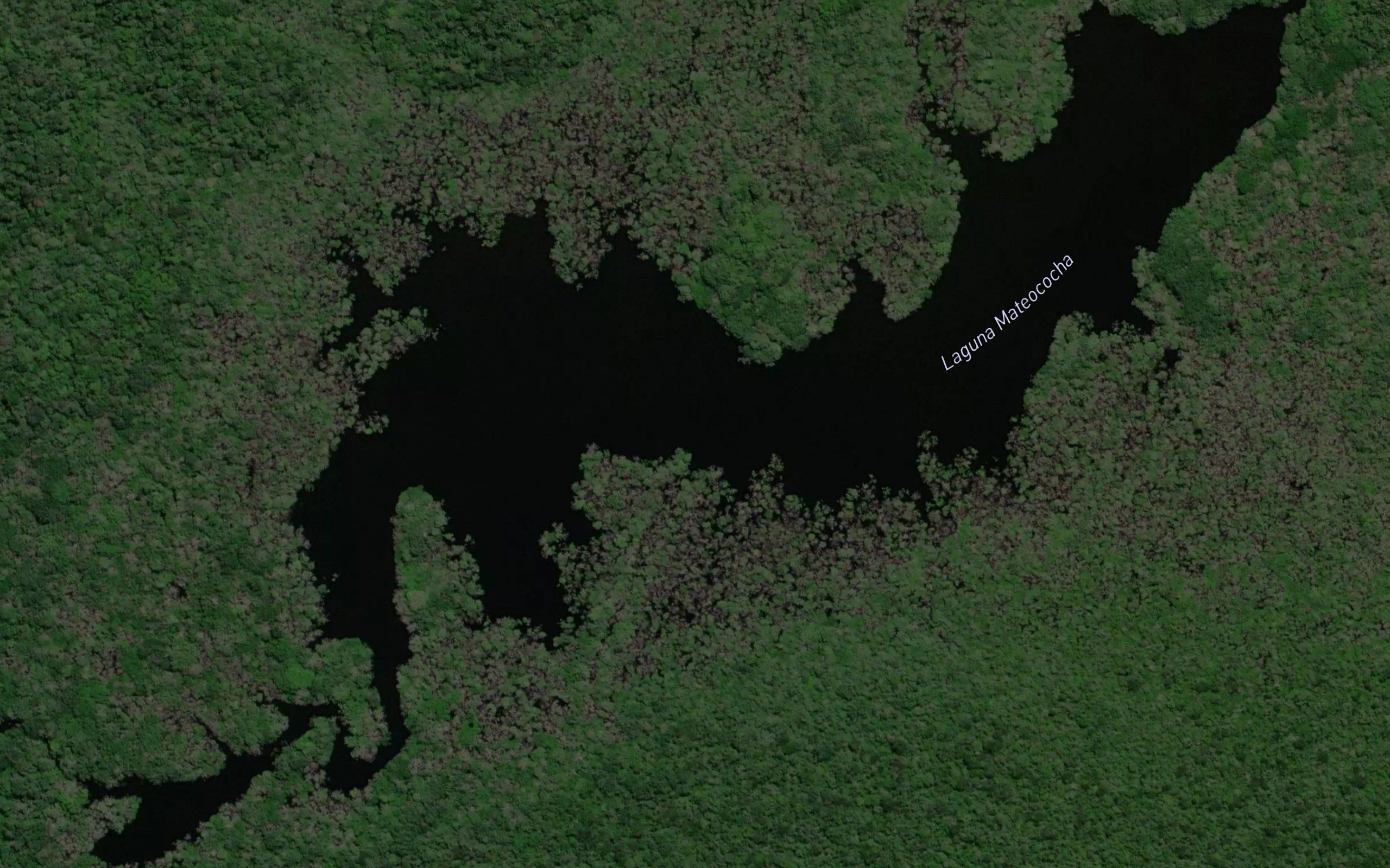 Laguna Mateo Cocha