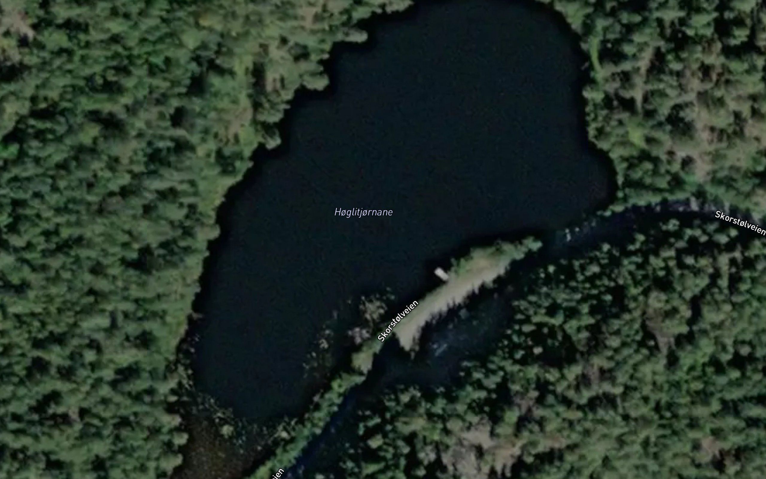 Hoglitjornane