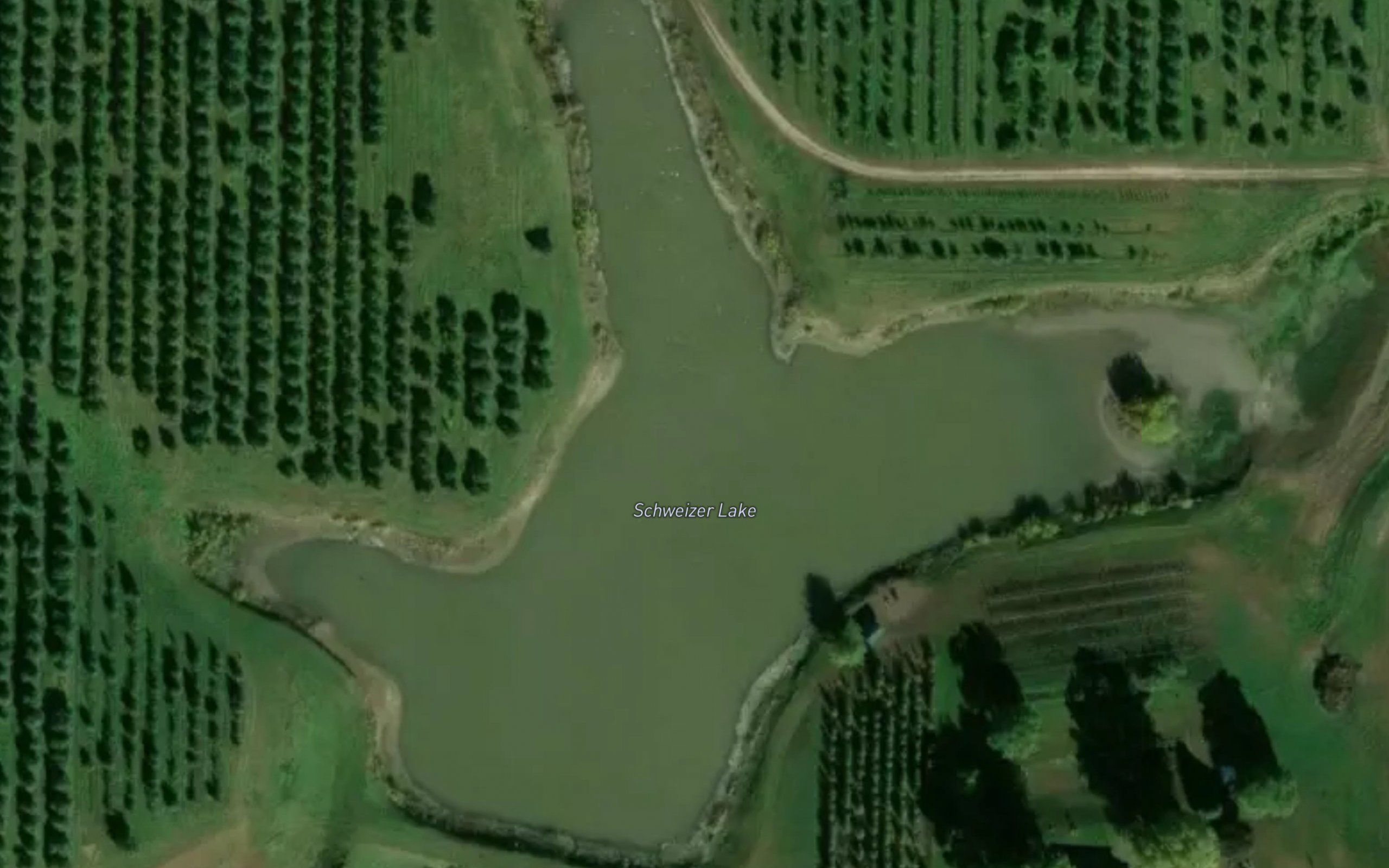 Schweizer Lake