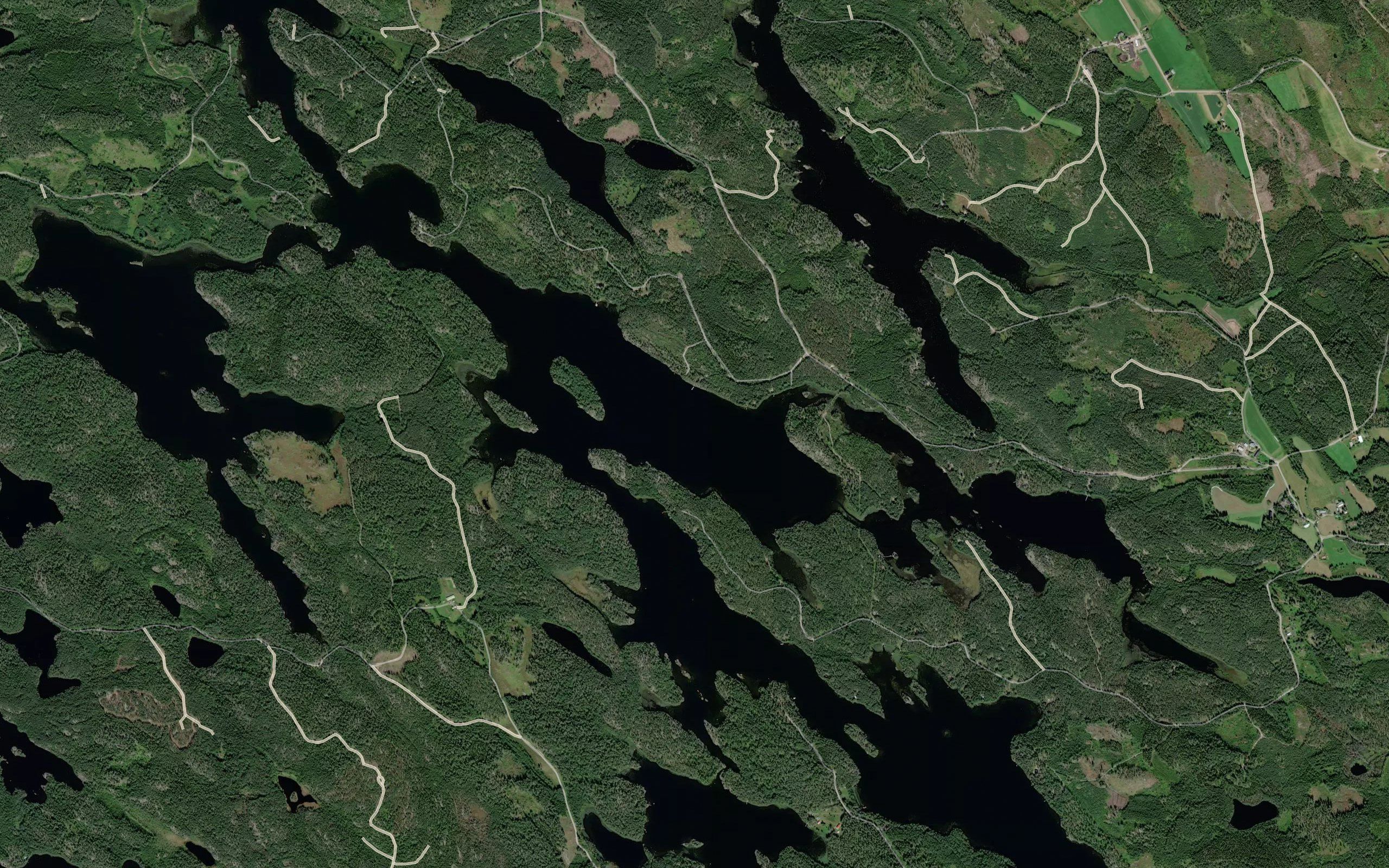 Laukonselka