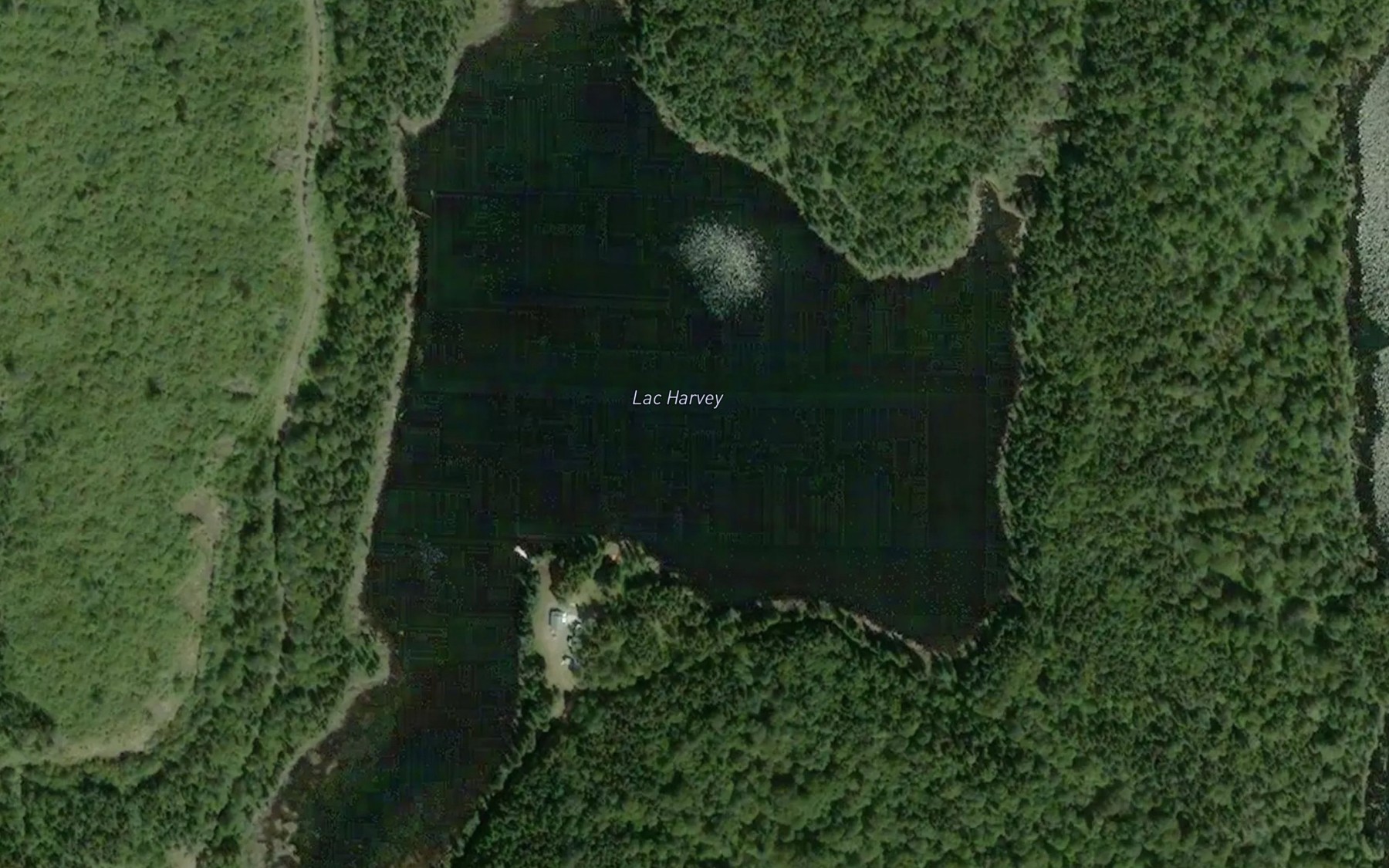 Satellite map of the Lac Harvey