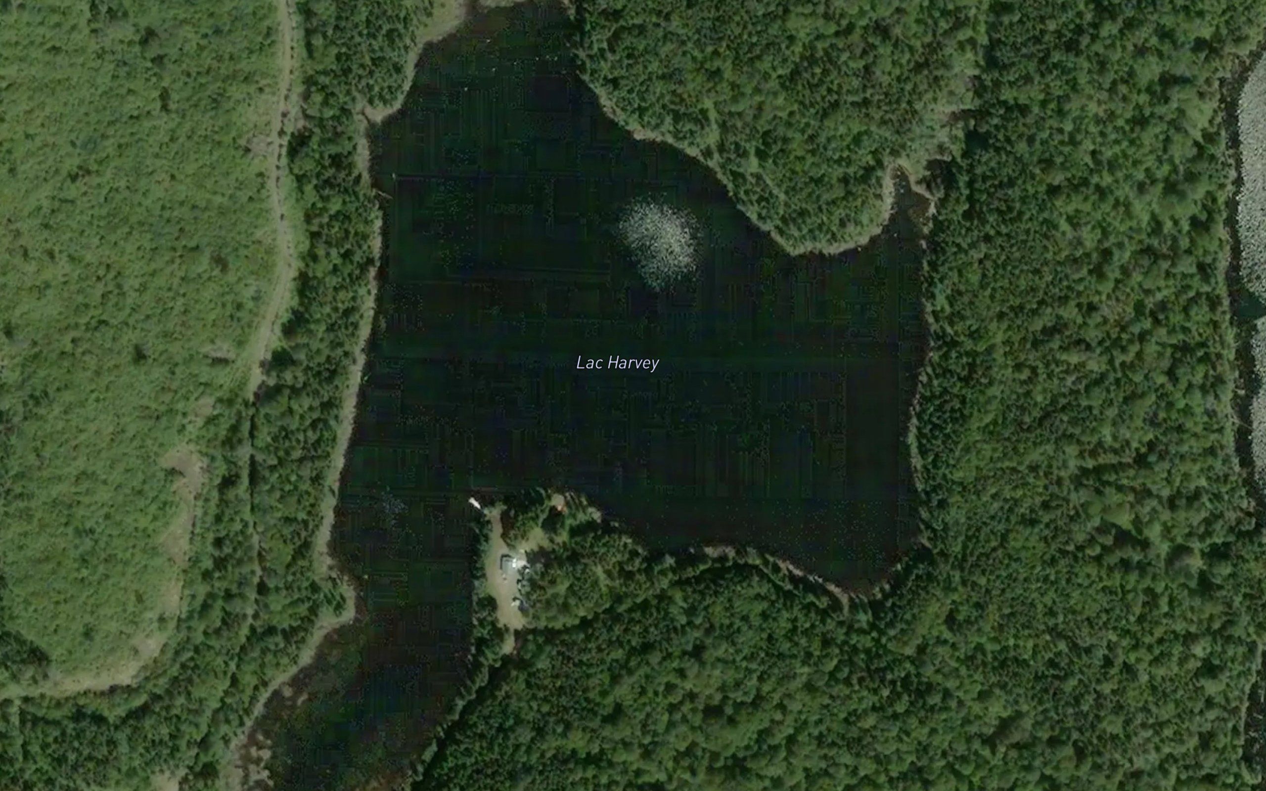 Lac Harvey