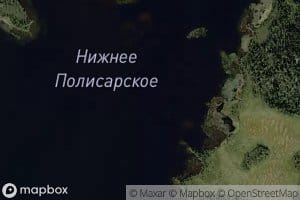 Ozero Nizhneye Polisarskoye