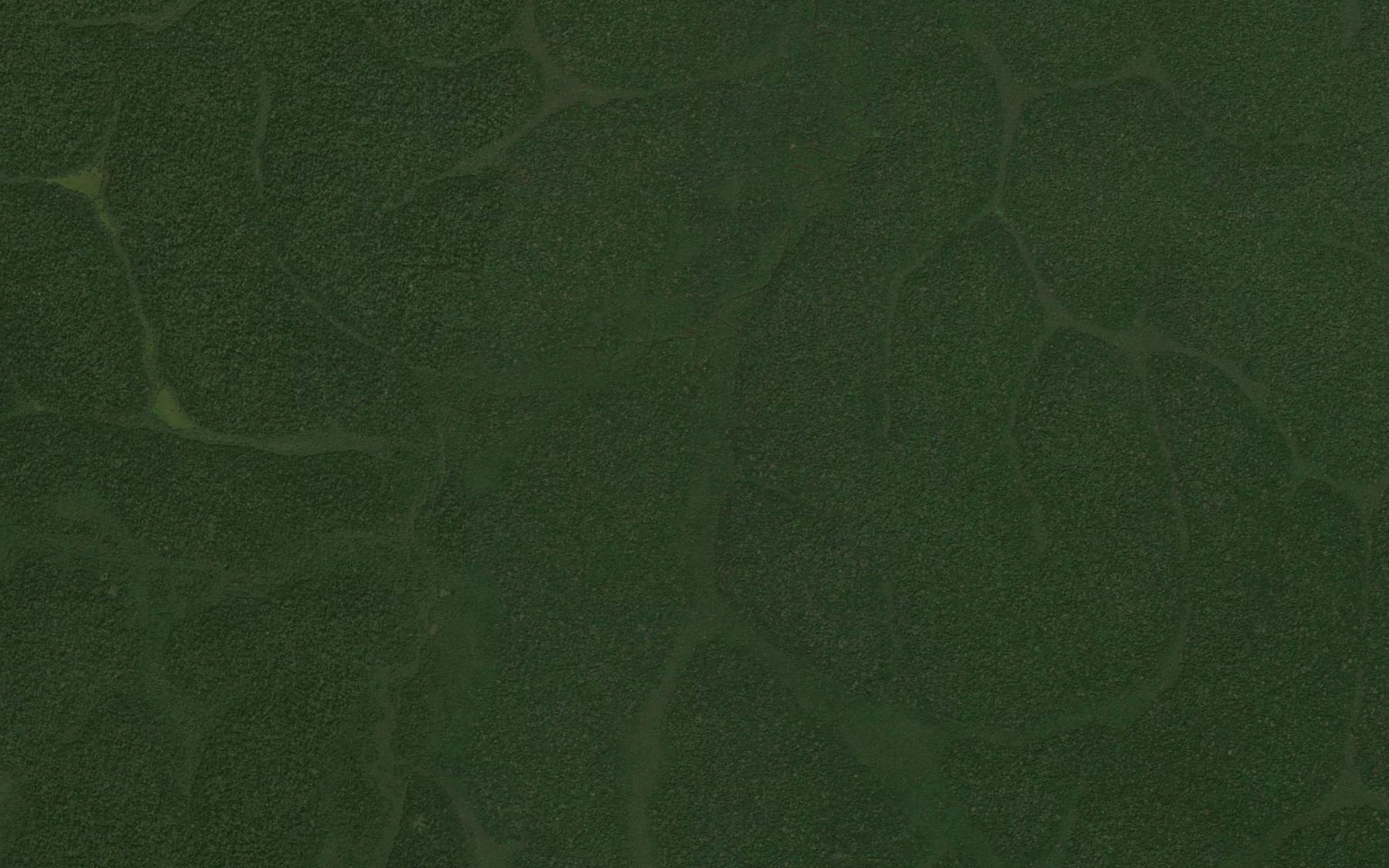 Satellite map of the Bumkim