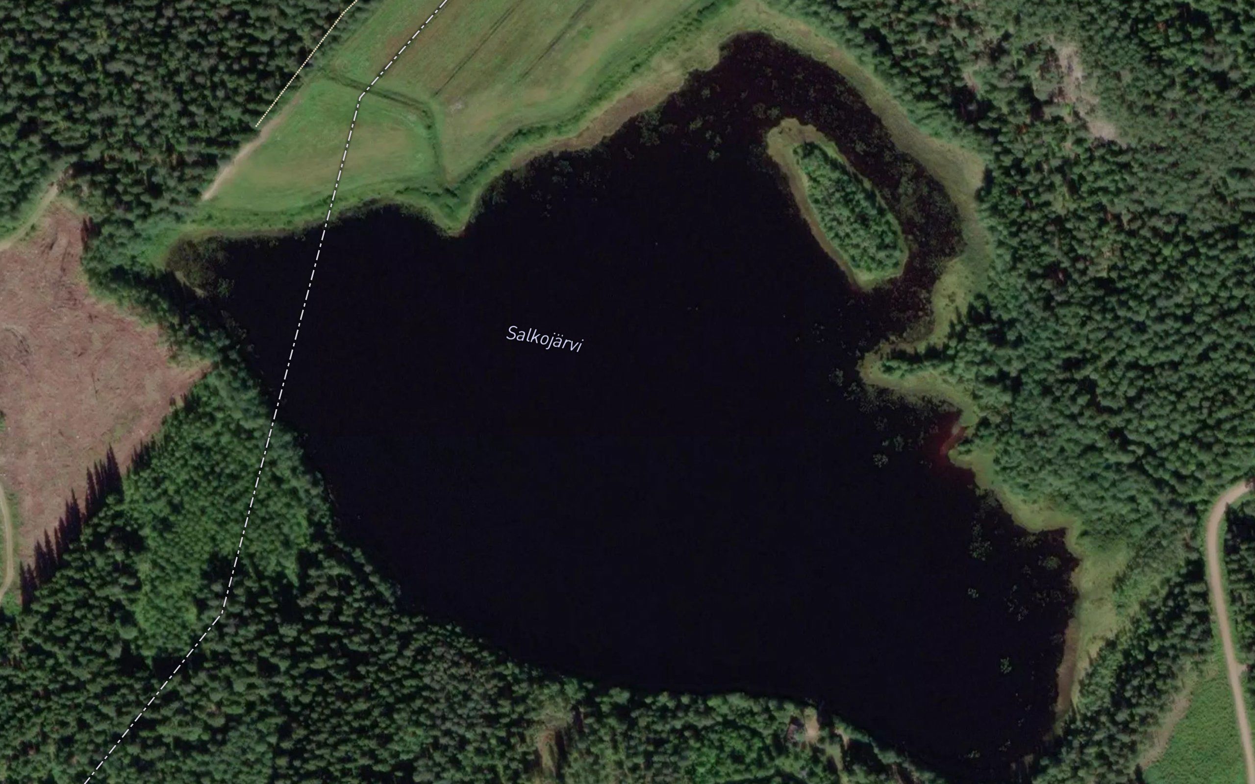 Salkojarvi