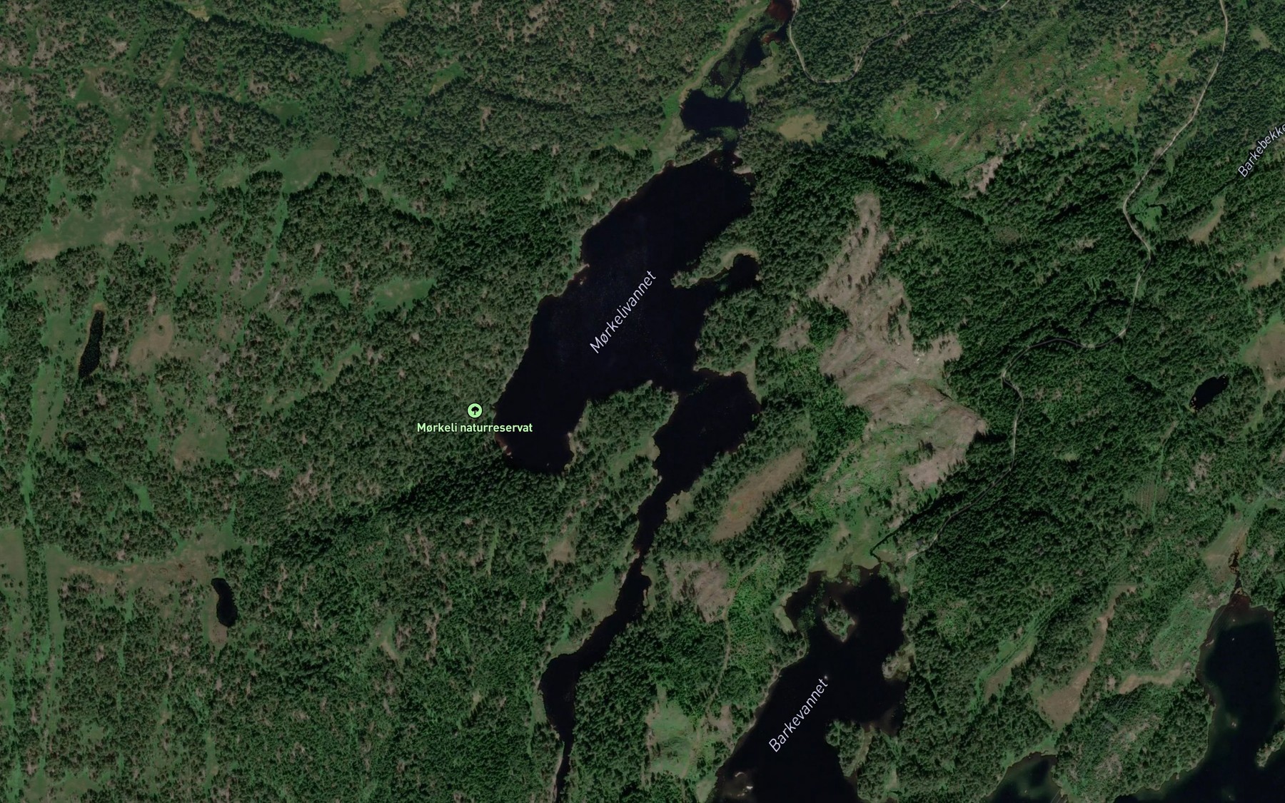 Satellite map of the Morkelivatnet