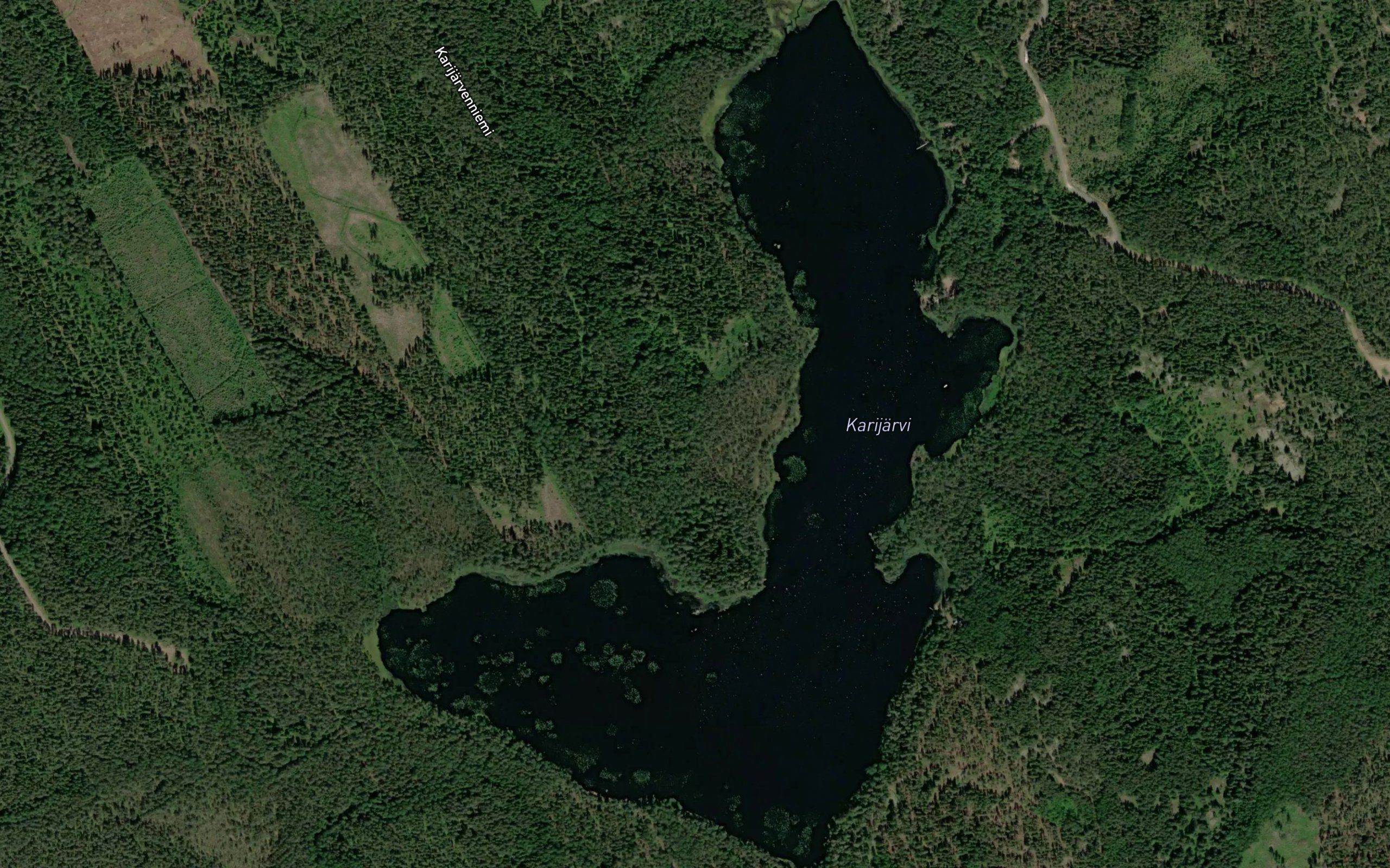 Karijarvi