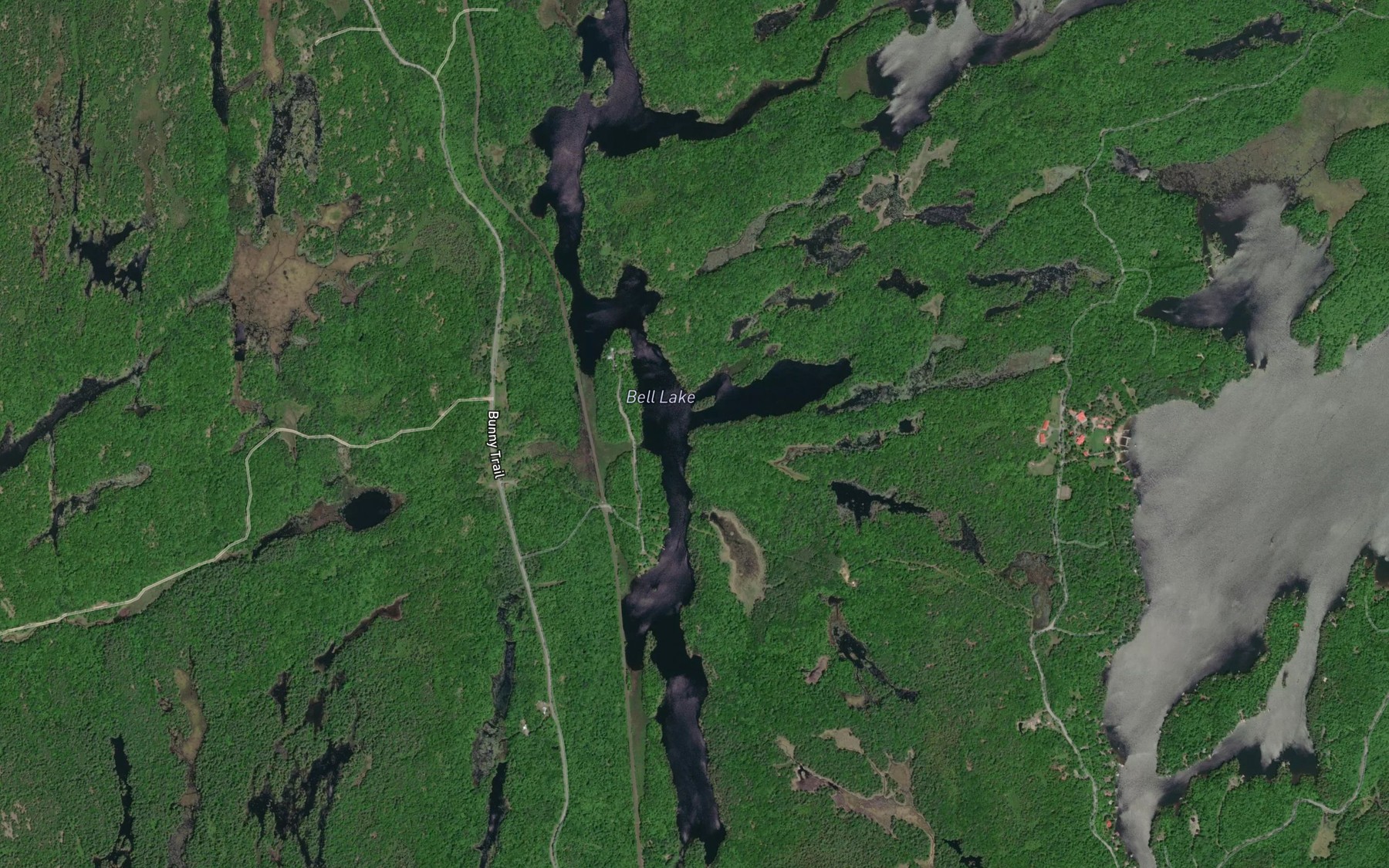 Satellite map of the Bell Lake