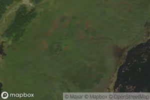 Leaf River