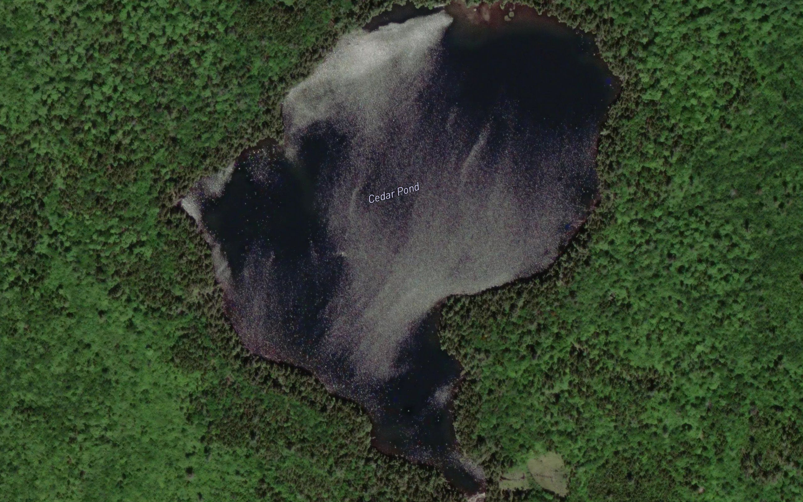 Cedar Pond