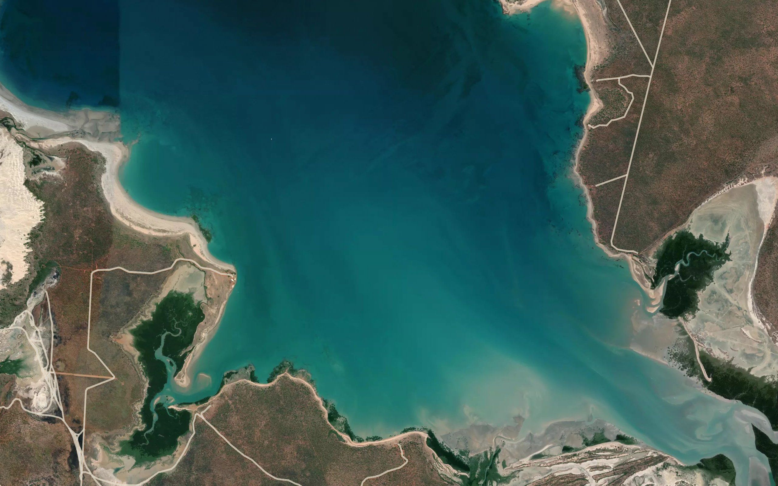 Beagle Bay