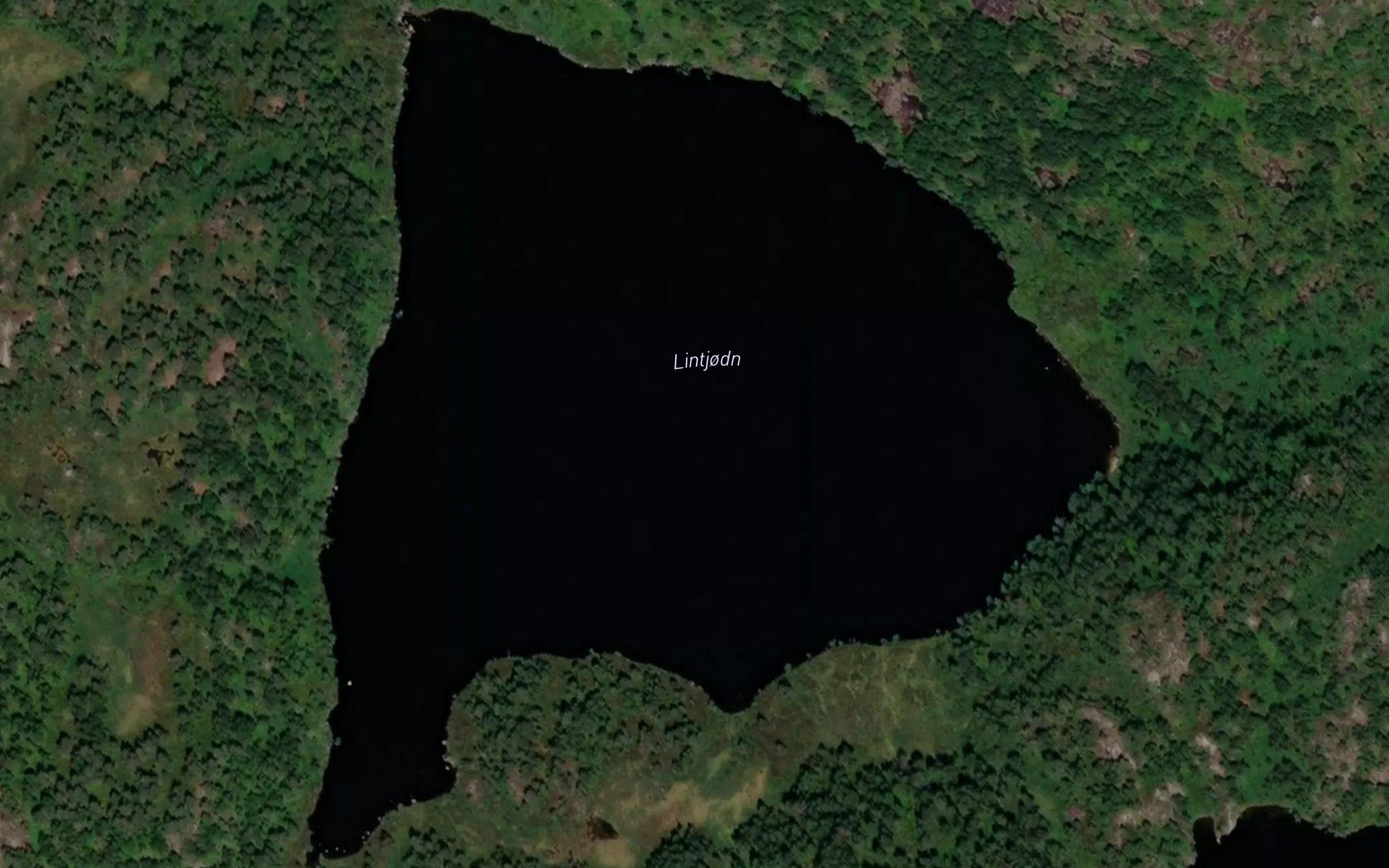 Lintjorna