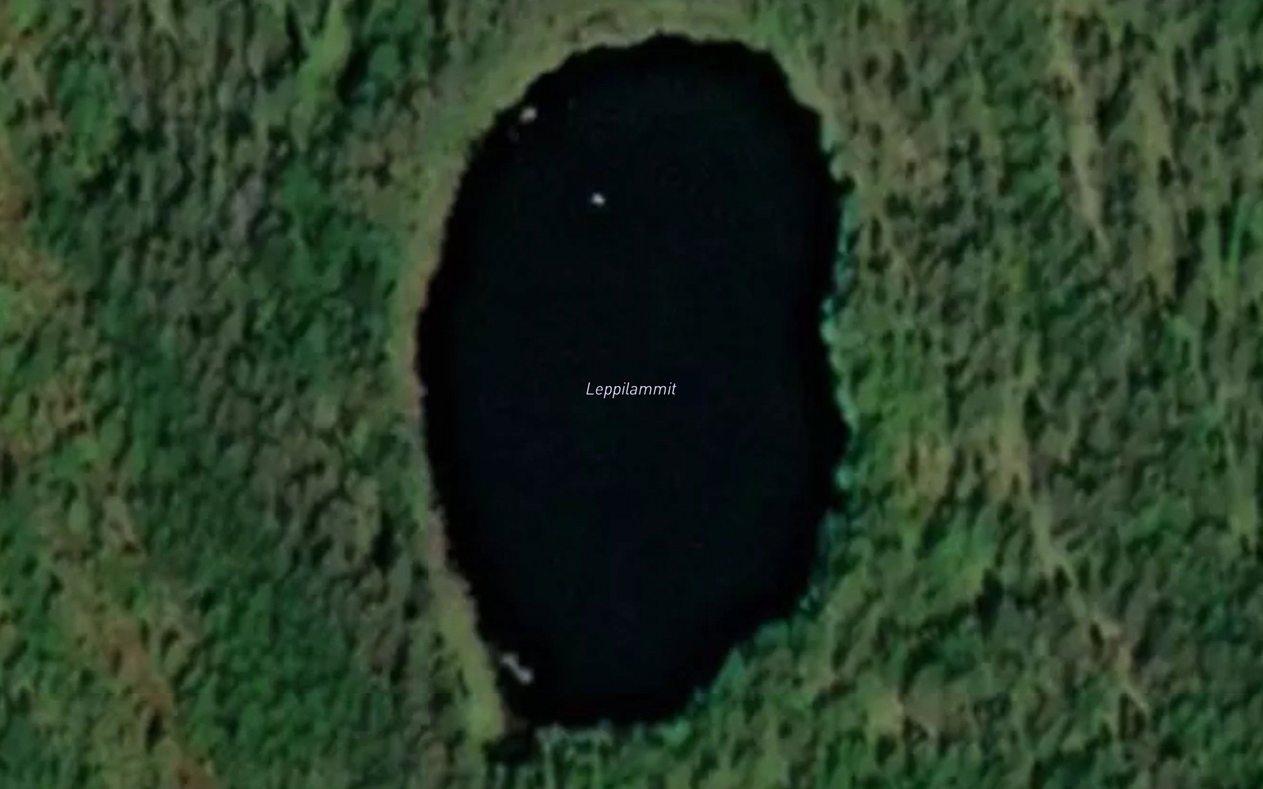 Leppilammit