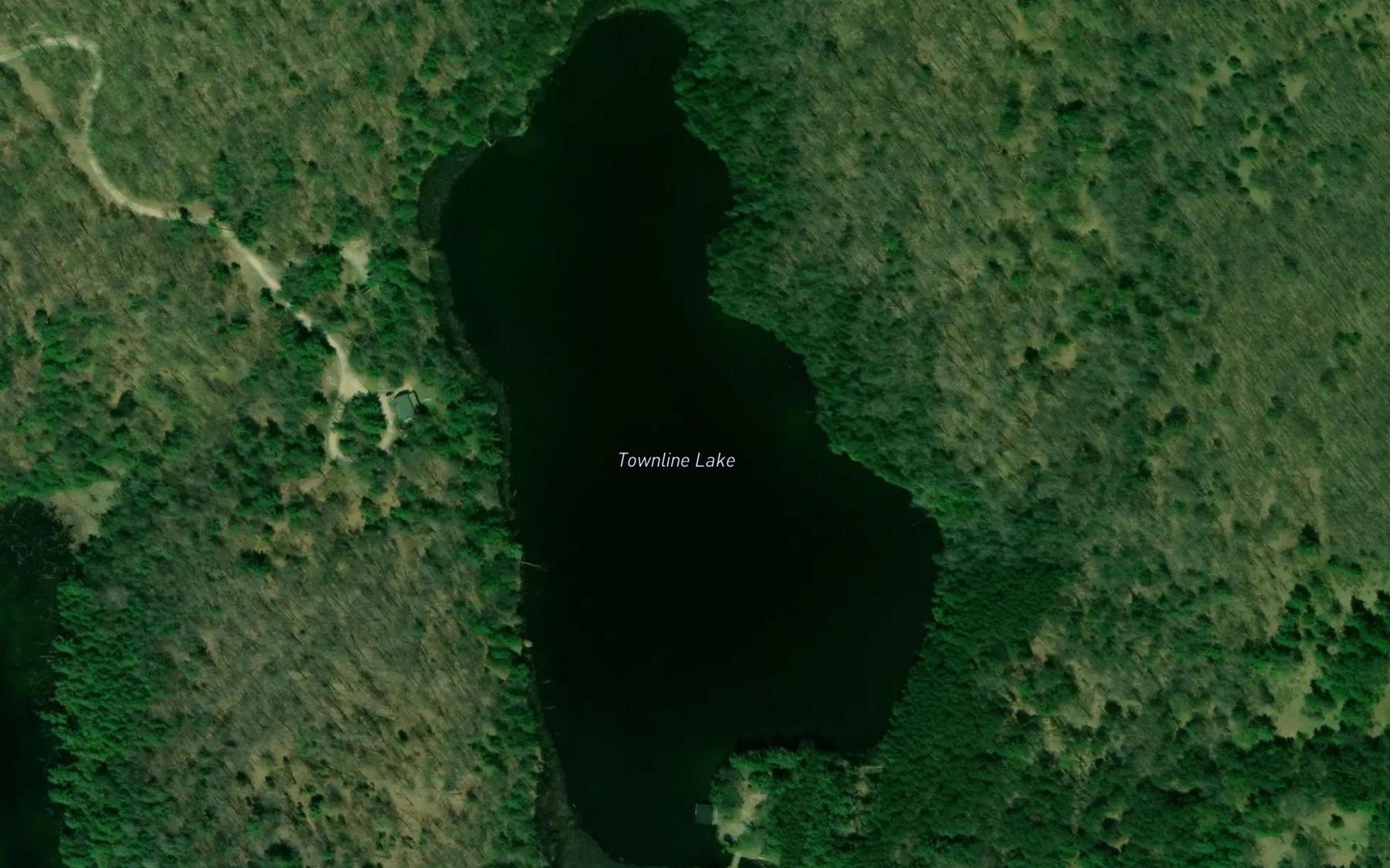 Satellite map of the Townline Lake