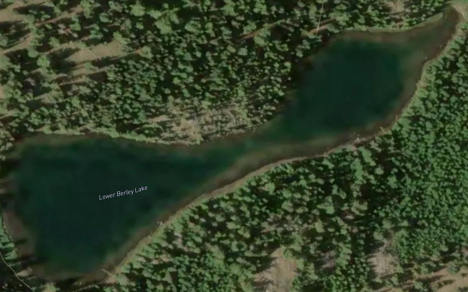 Satellite map of the Lower Berley Lake
