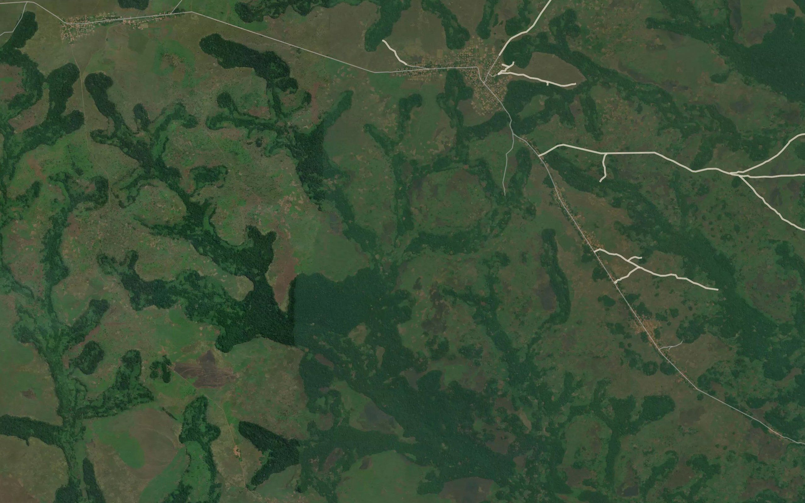 Kalusu