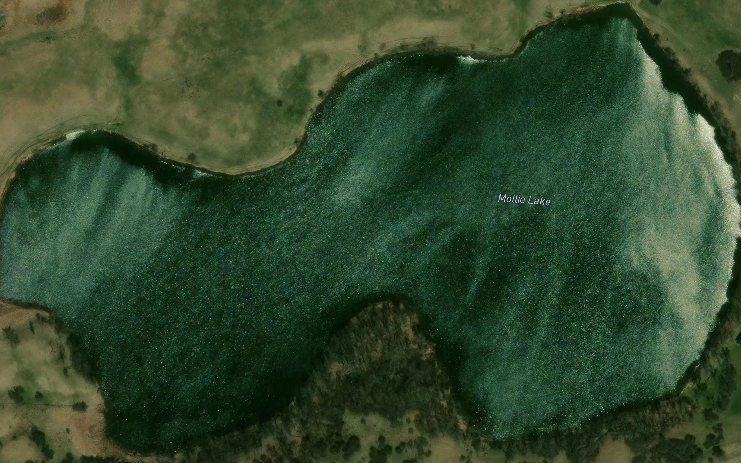 Mollie Lake