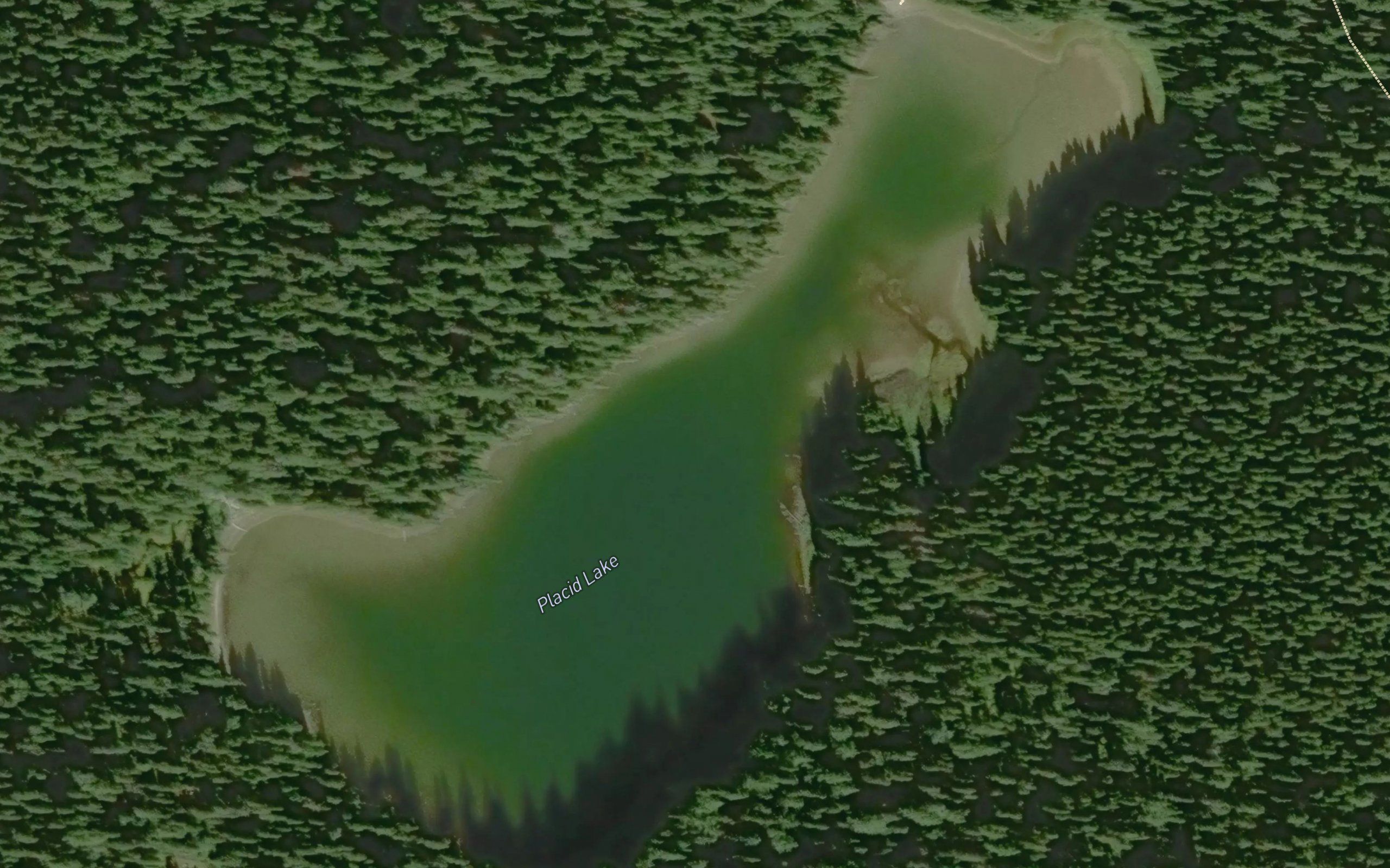 Placid Lake