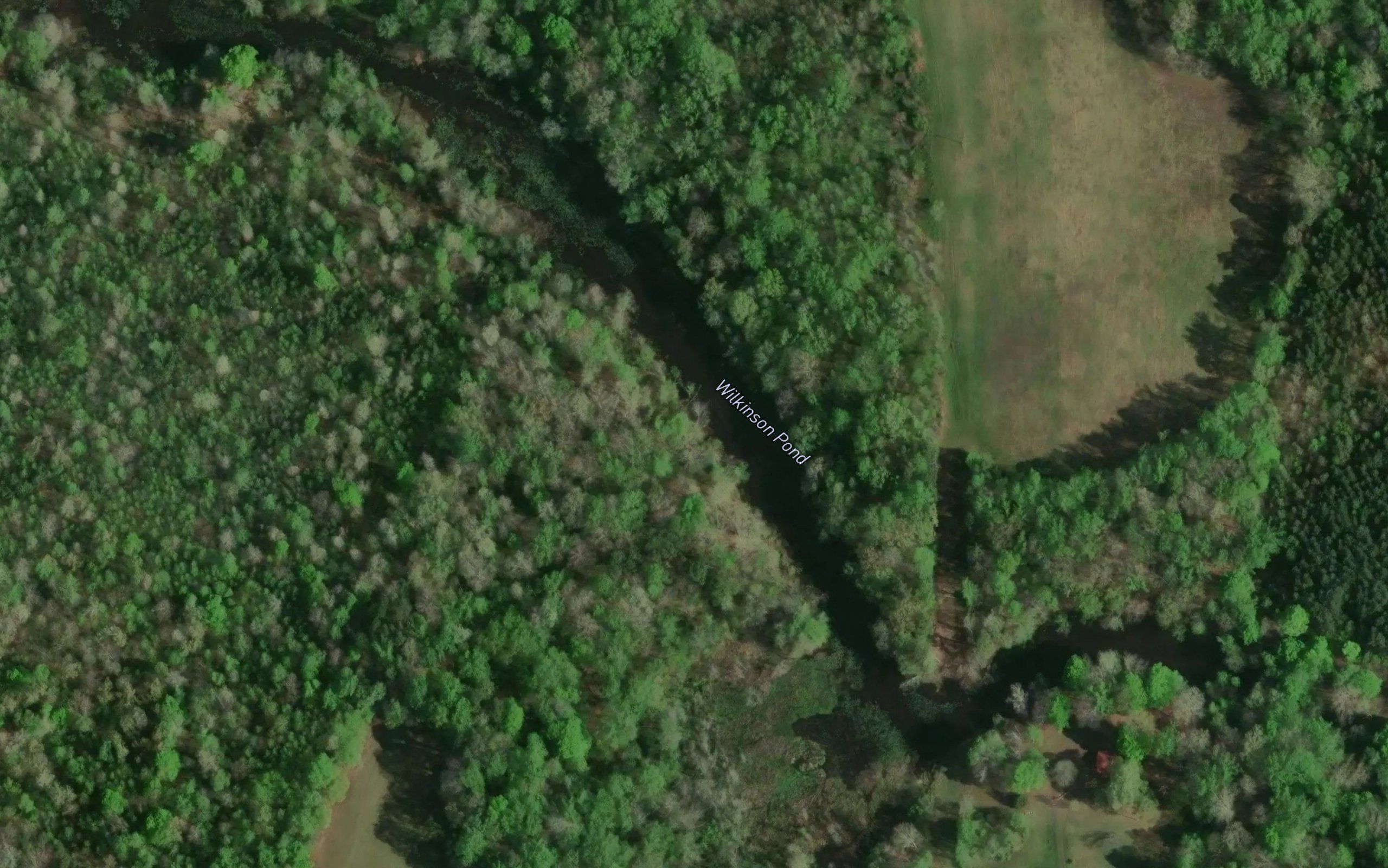 Wilkinson Pond