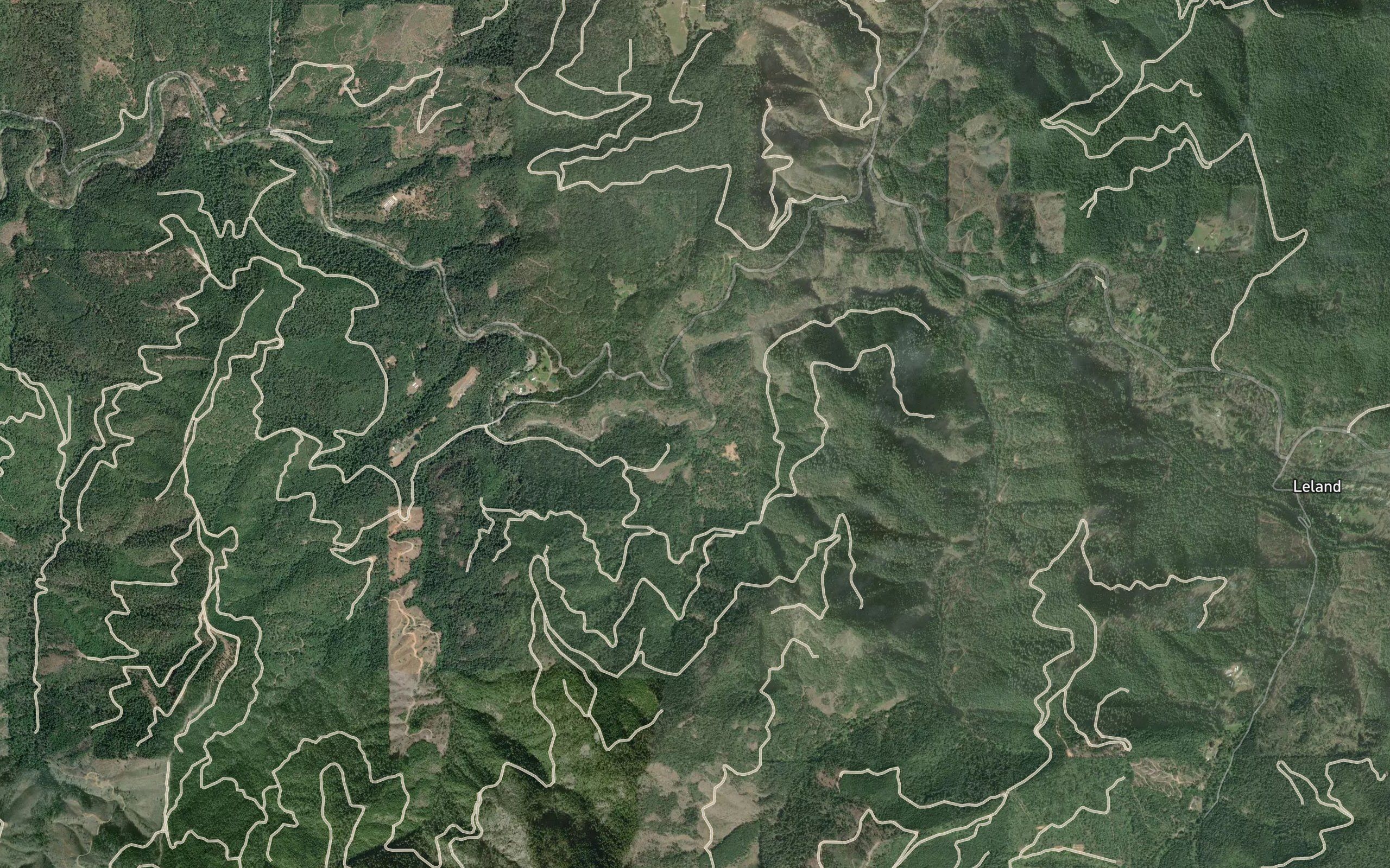 Angora Creek