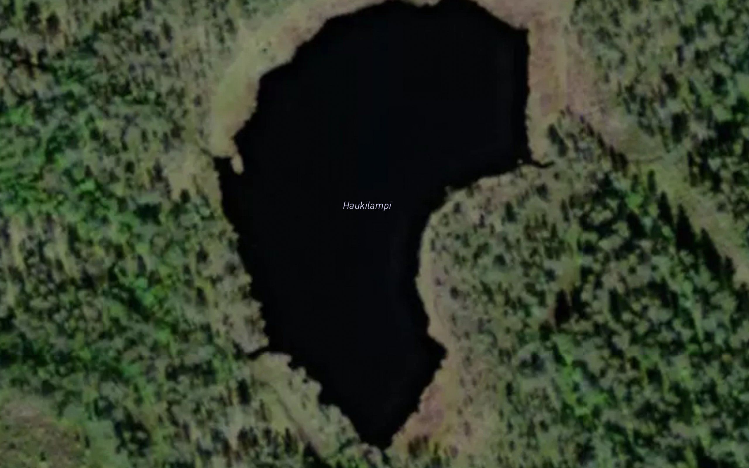 Haukilampi