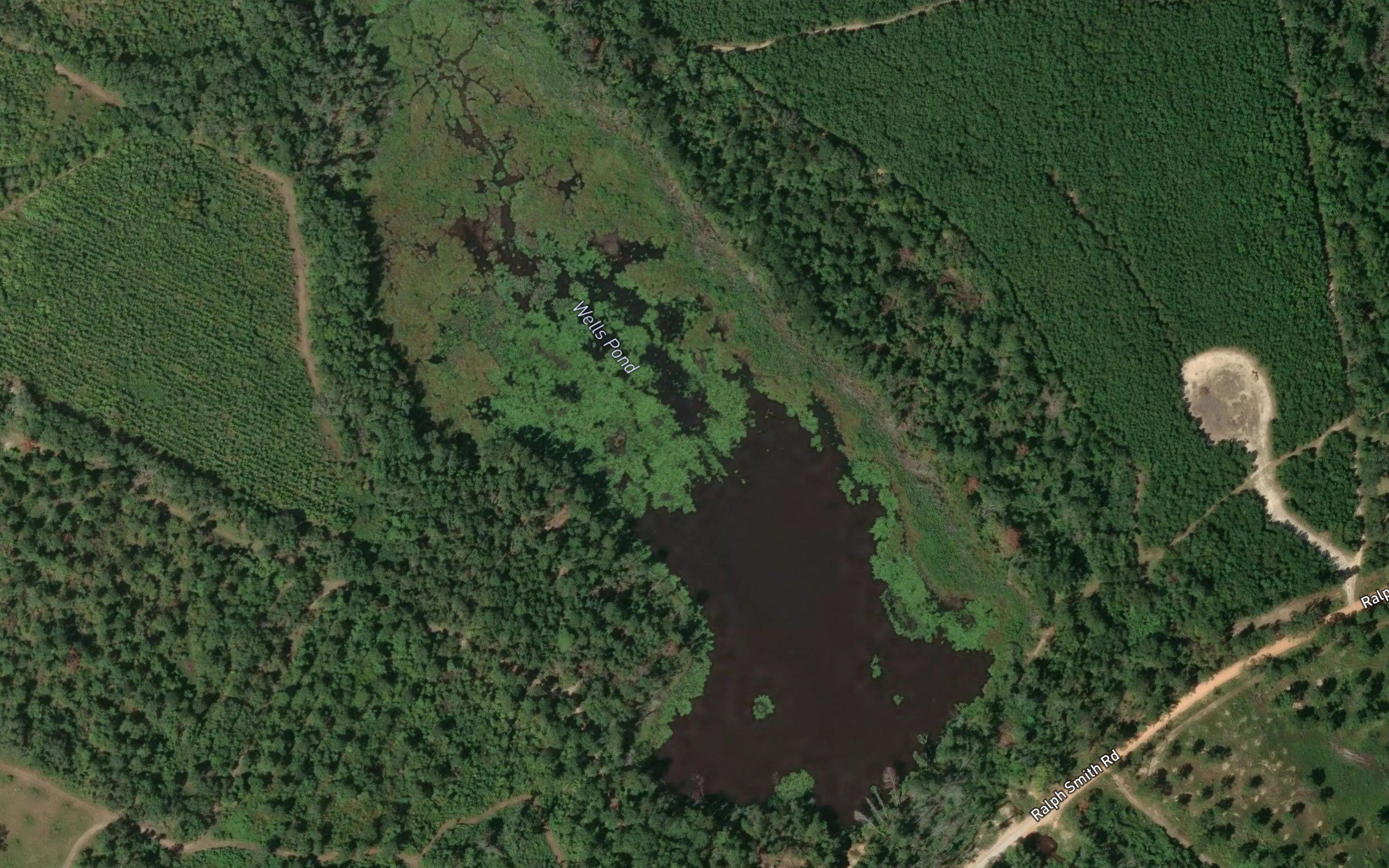 Wells Pond