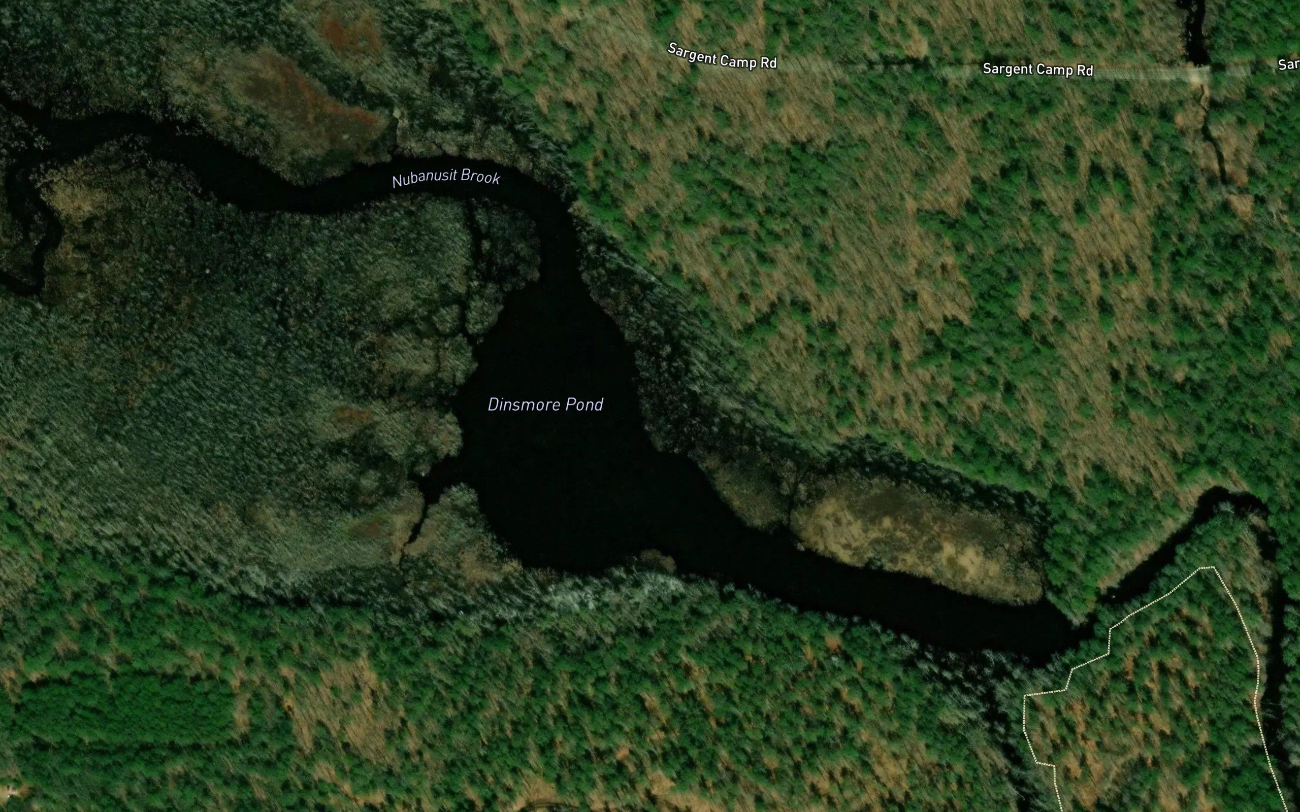Dinsmore Pond