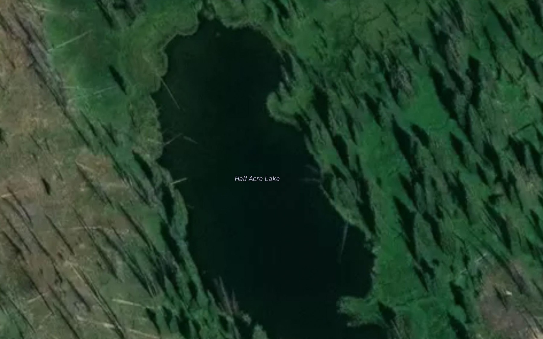 Satellite map of the Half Acre Lake