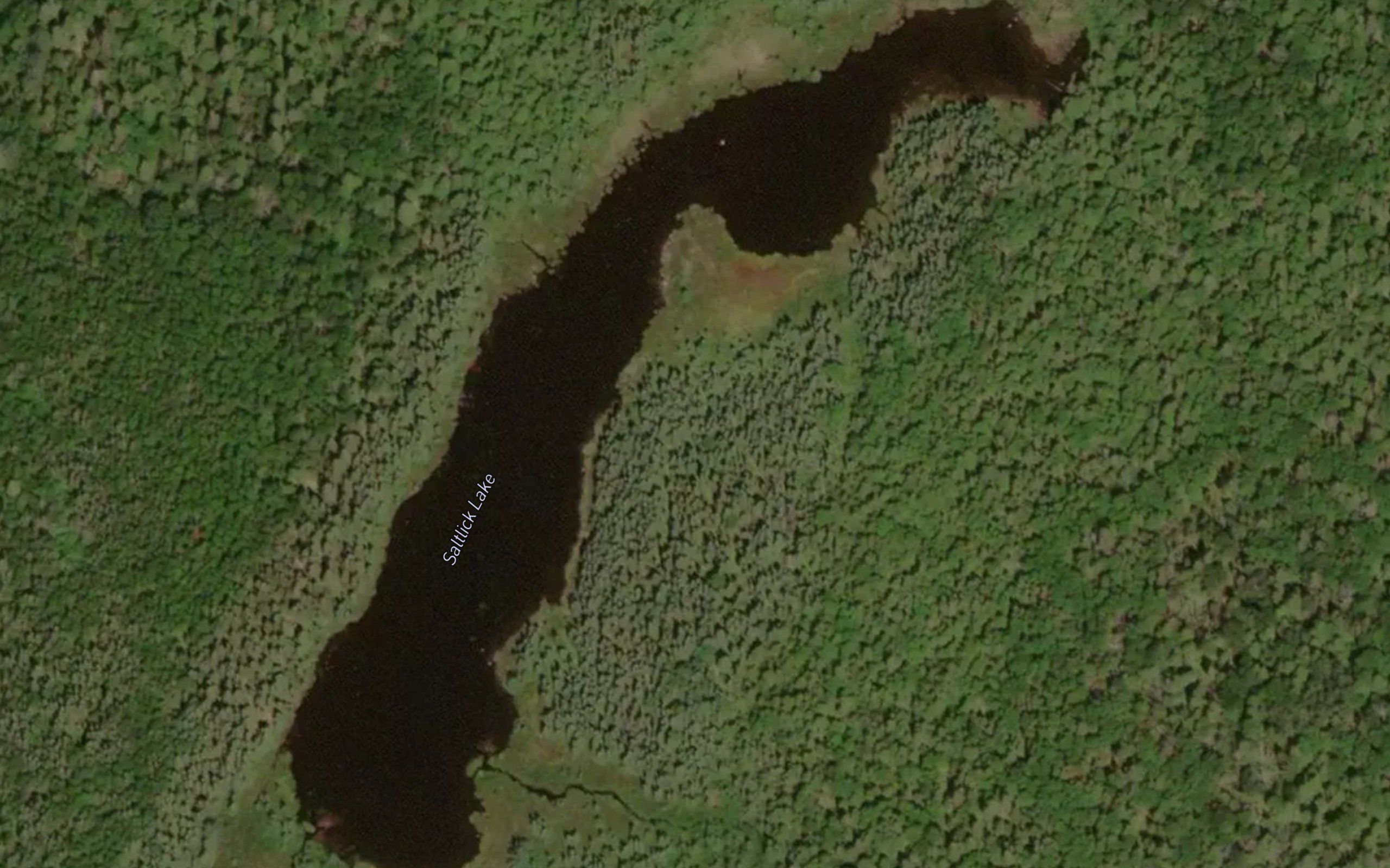 Saltlick Lake