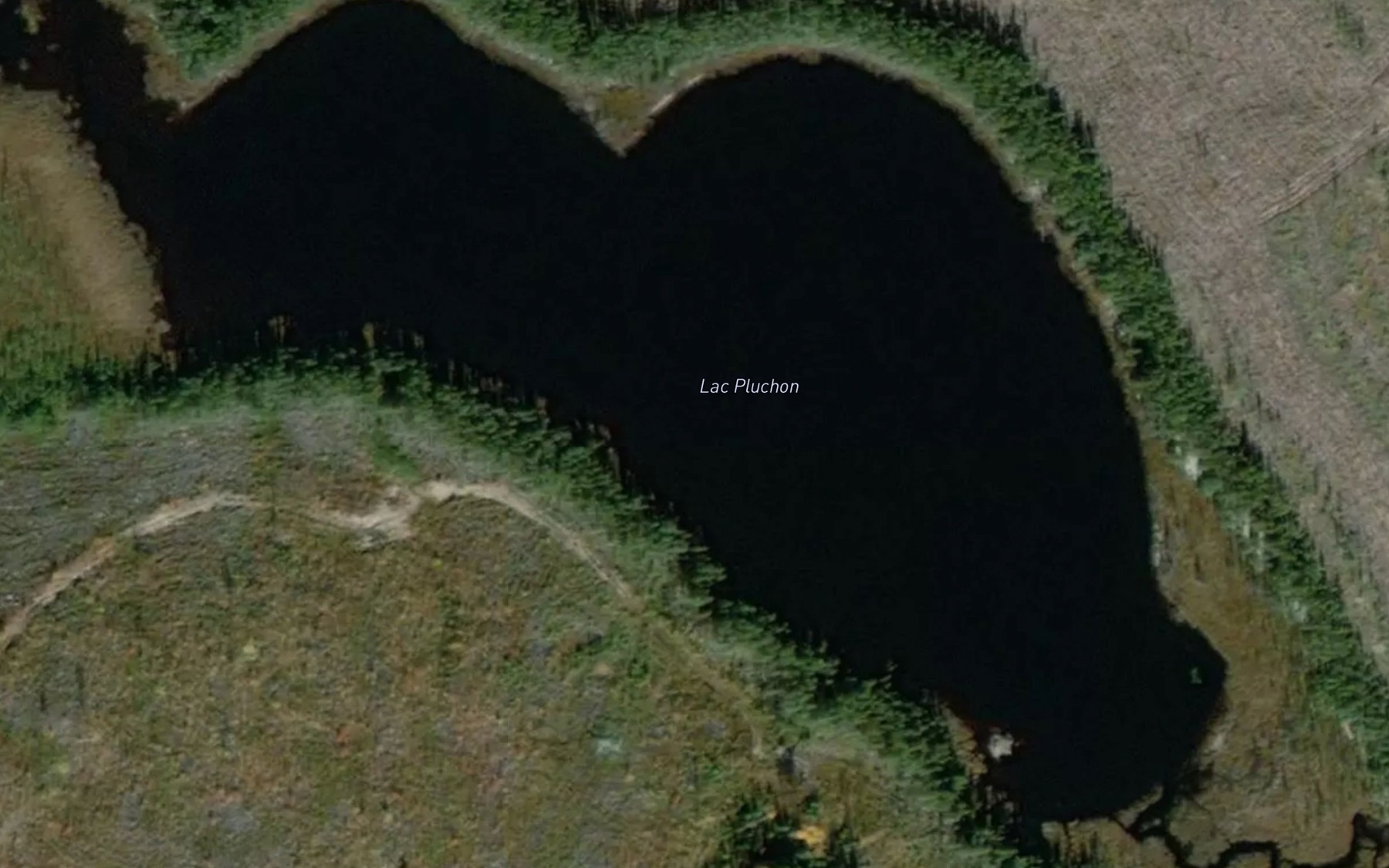 Satellite map of the Lac Pluchon
