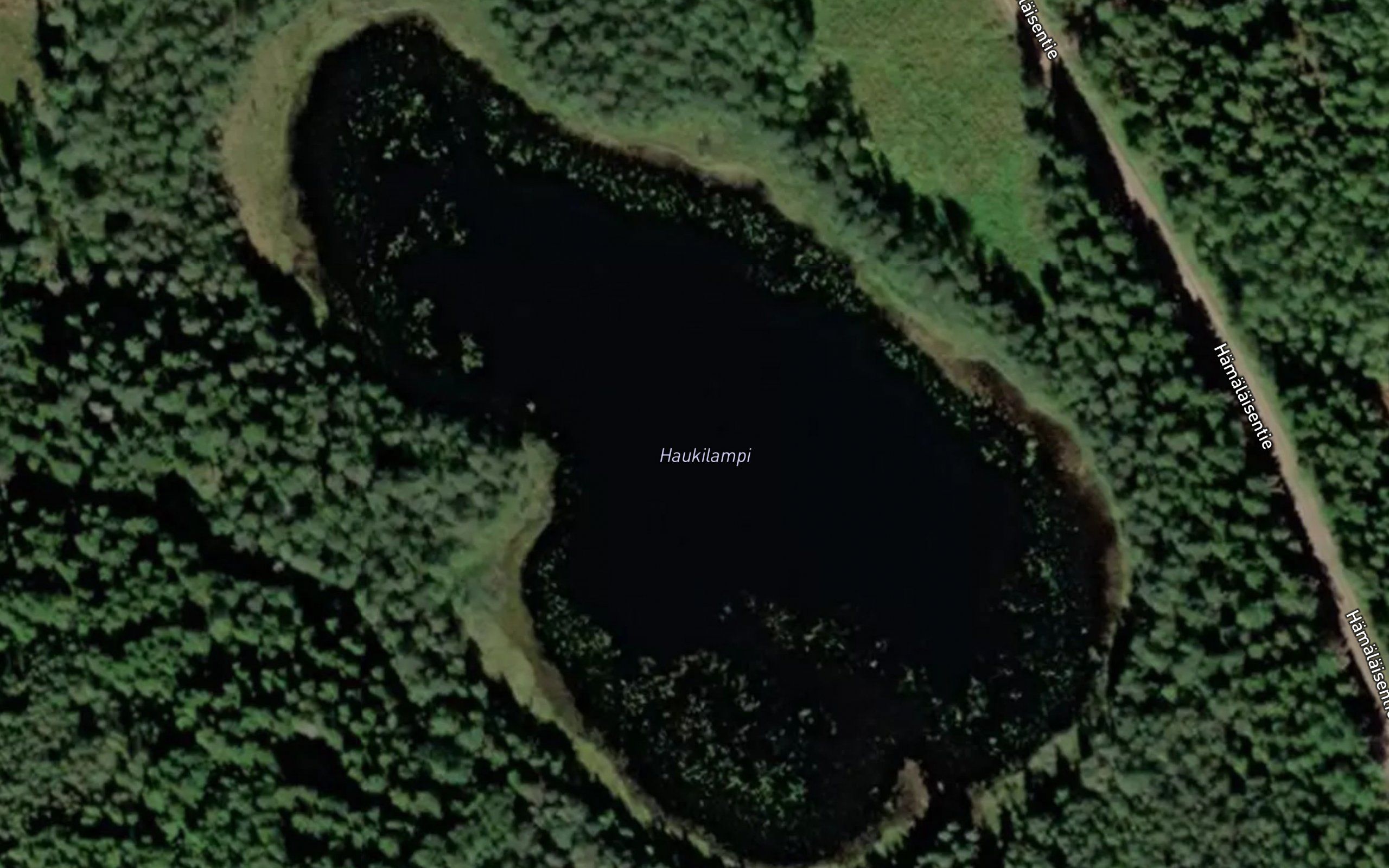 Haukilampi