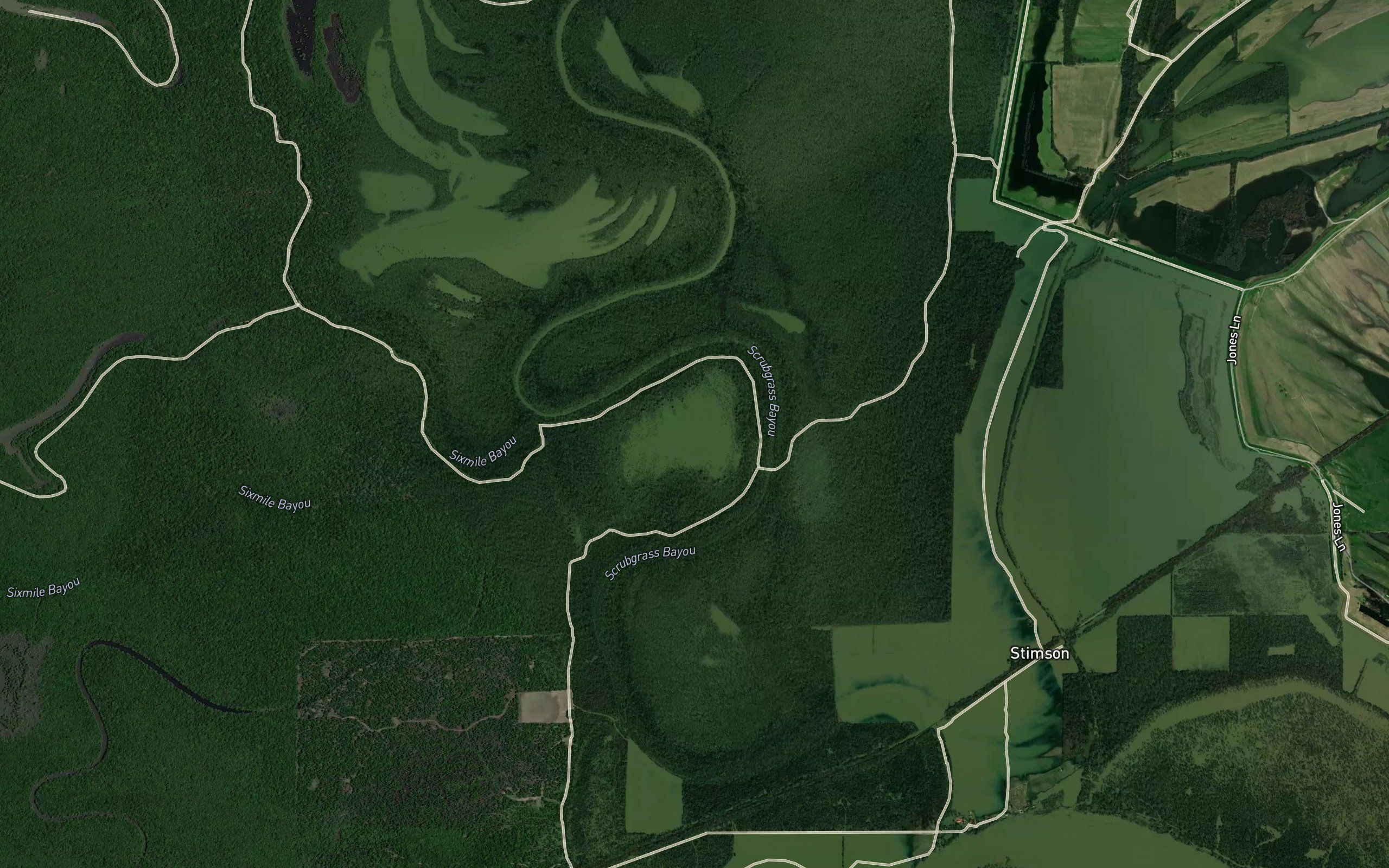 Alligator Lake