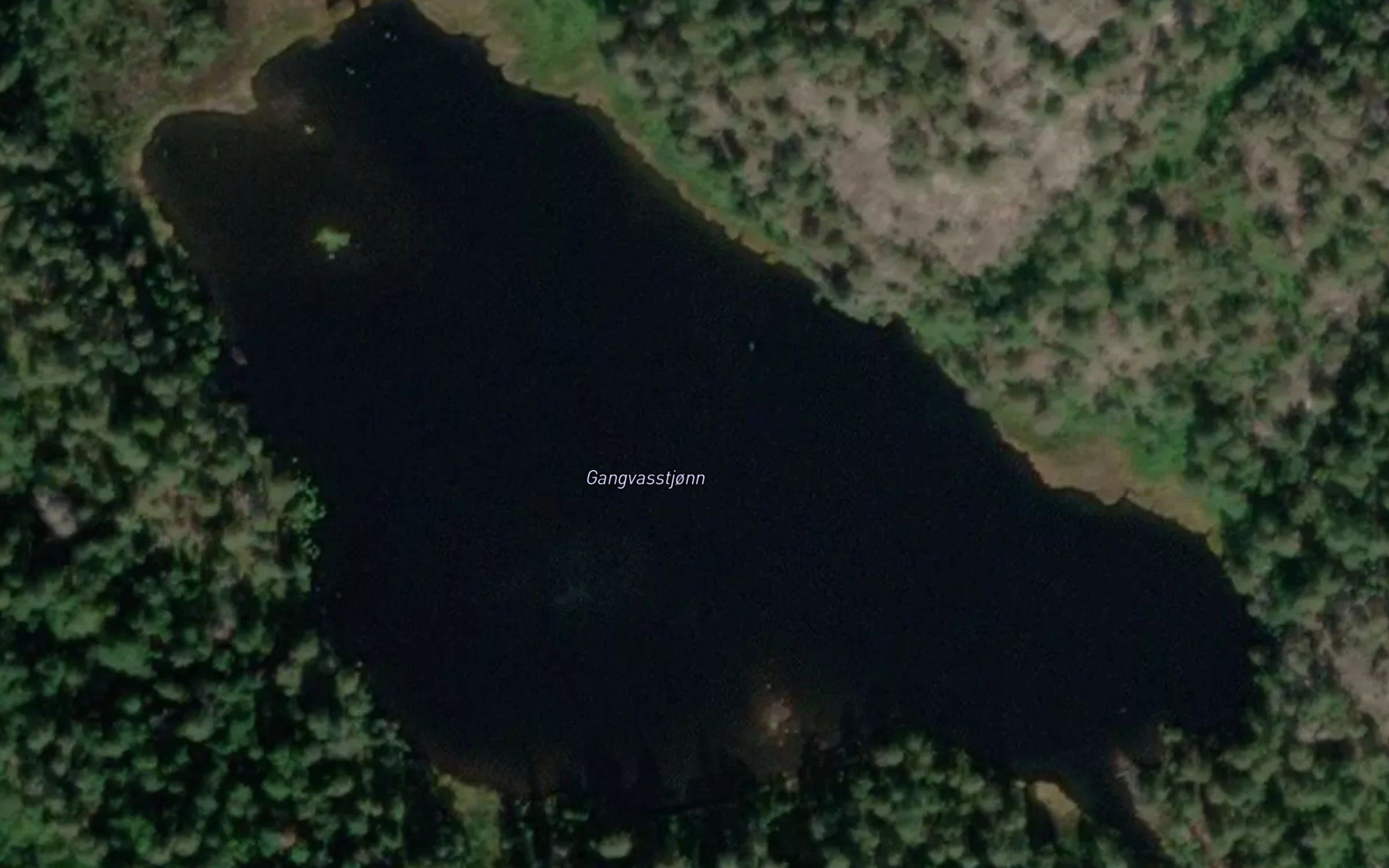 Gangvasstjonn