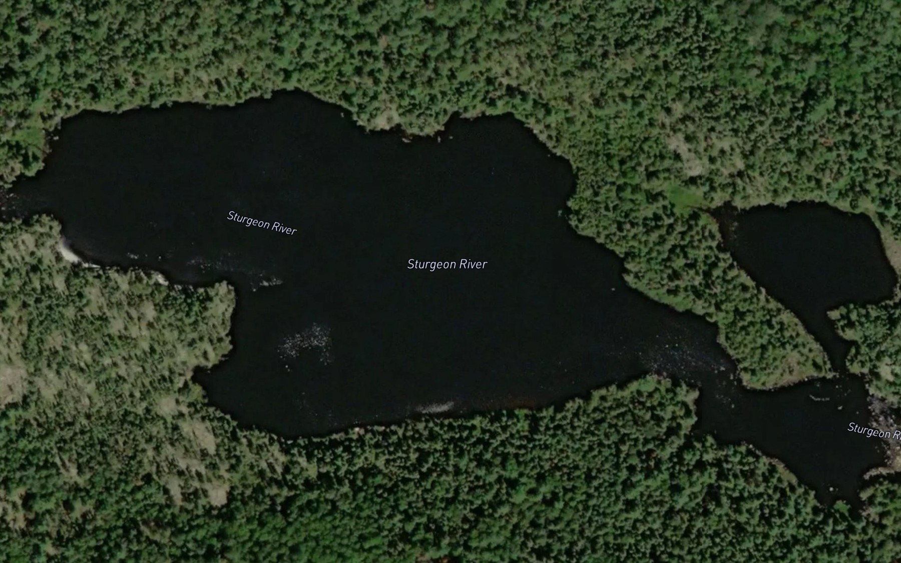 Satellite map of the Renfrew Lake