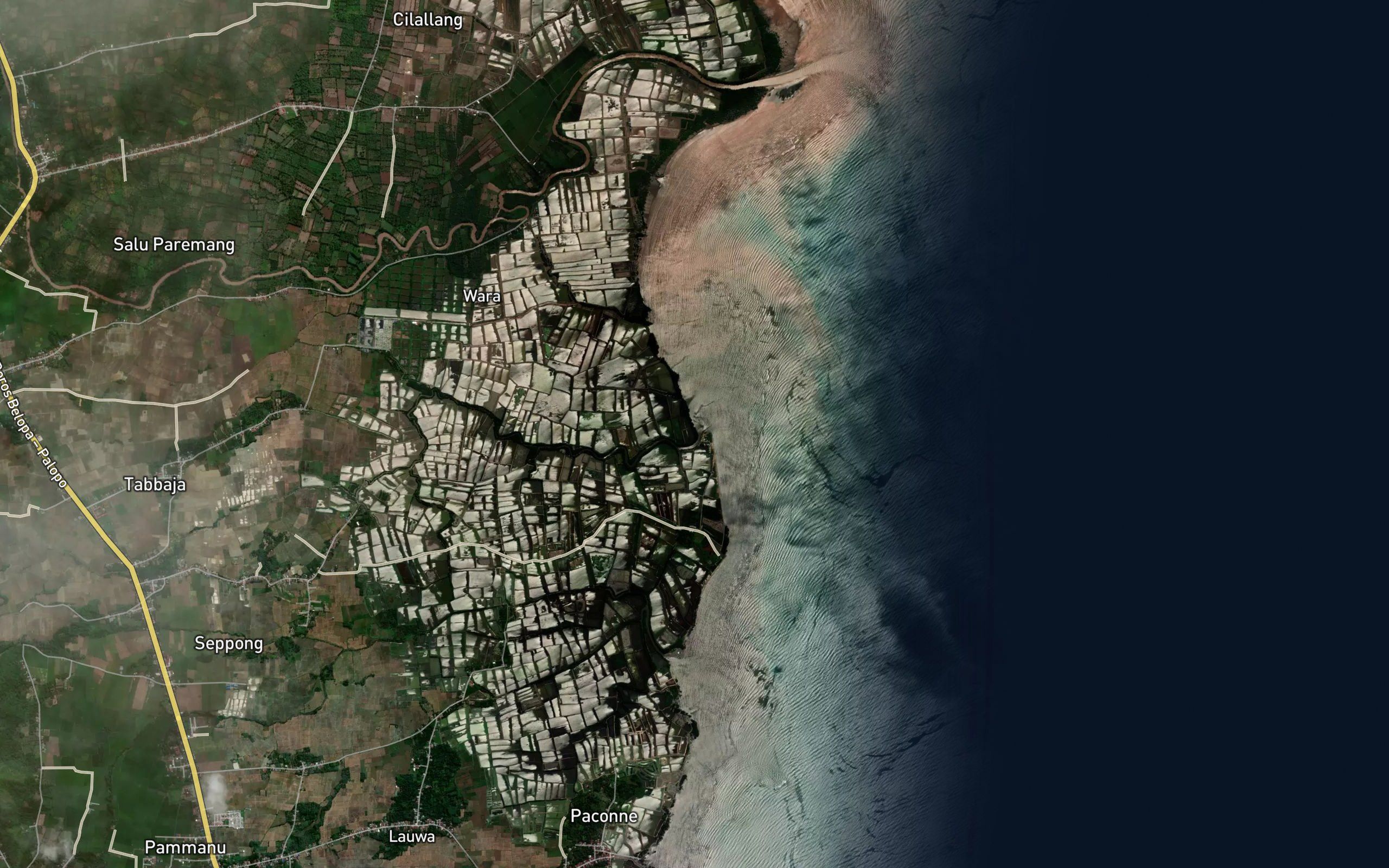Salu Lonyi