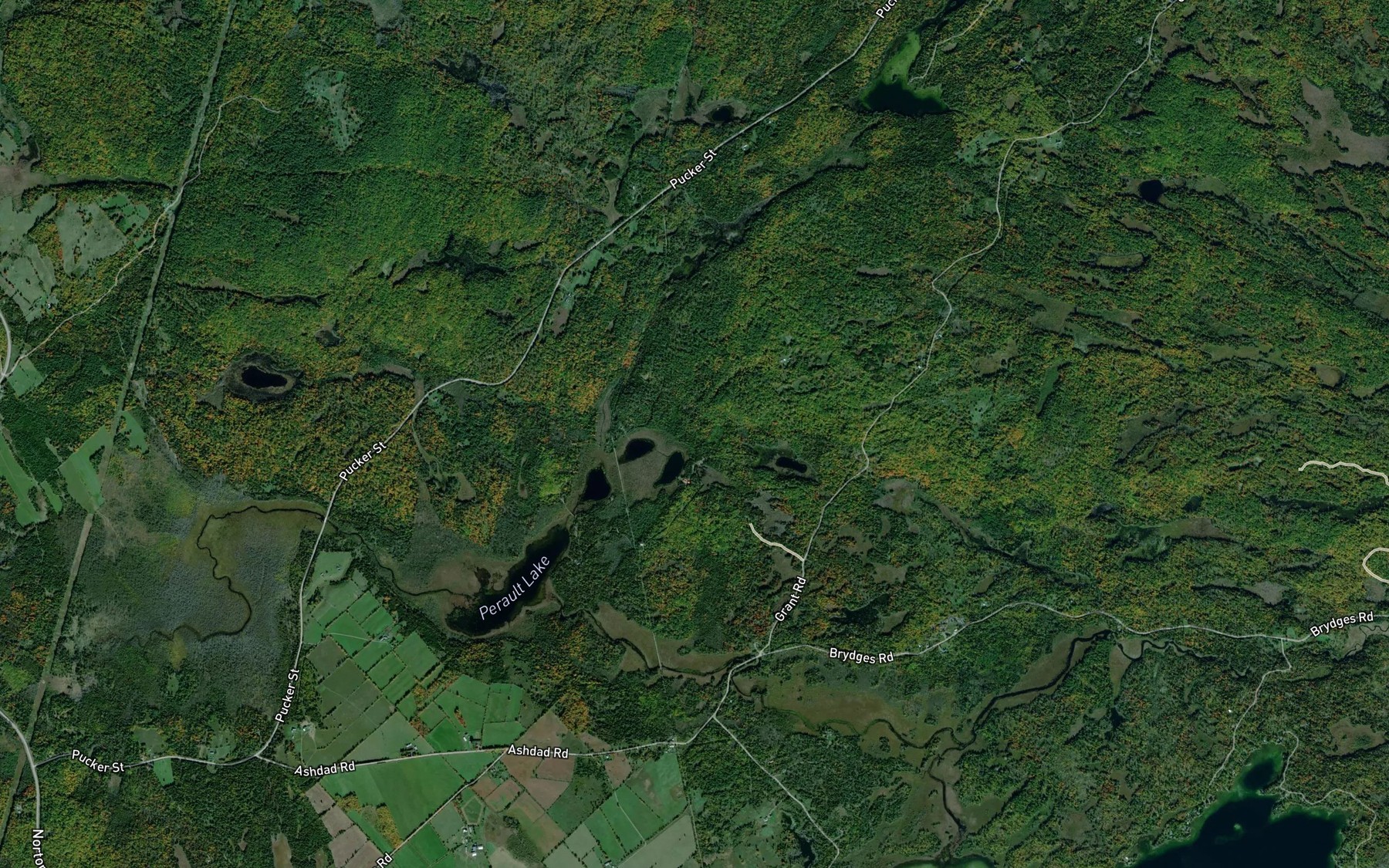 Satellite map of the Shannons Lakes