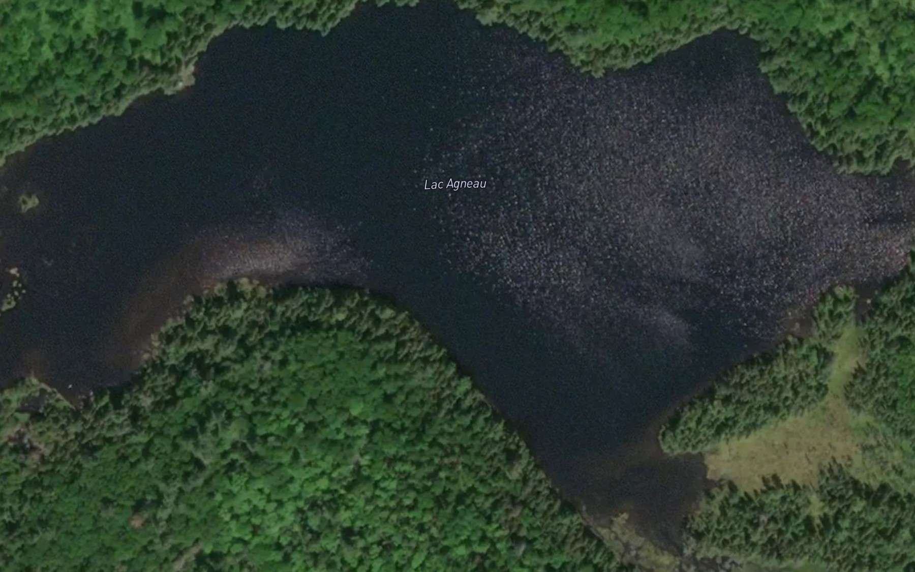 Satellite map of the Lac Agneau