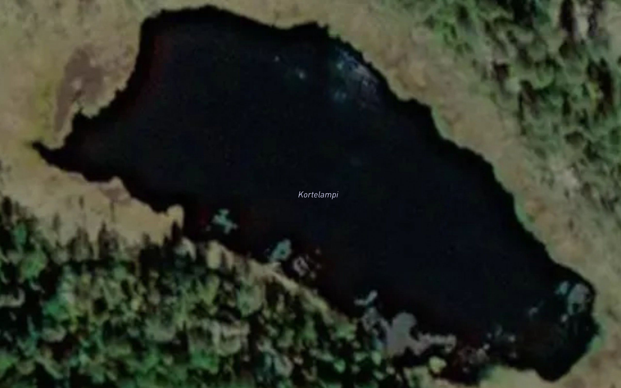 Kortelampi