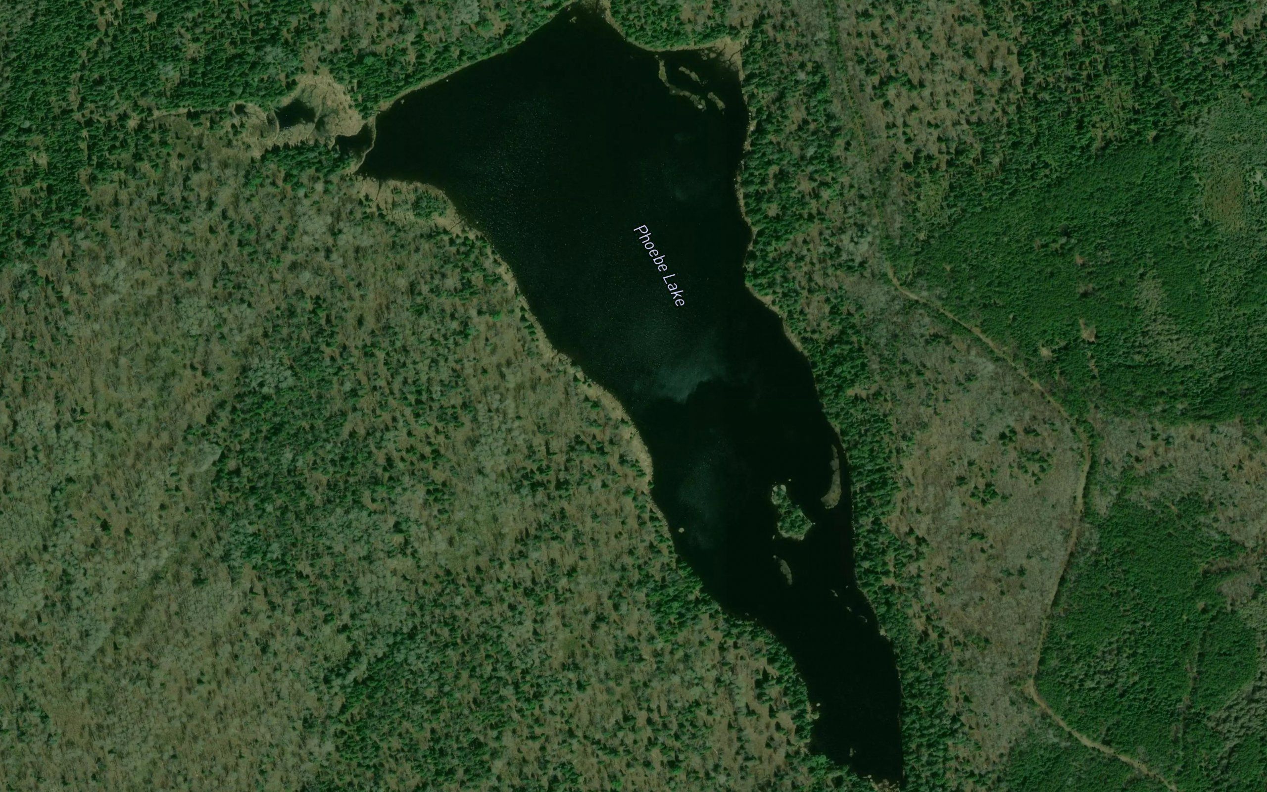 Phoebe Lake
