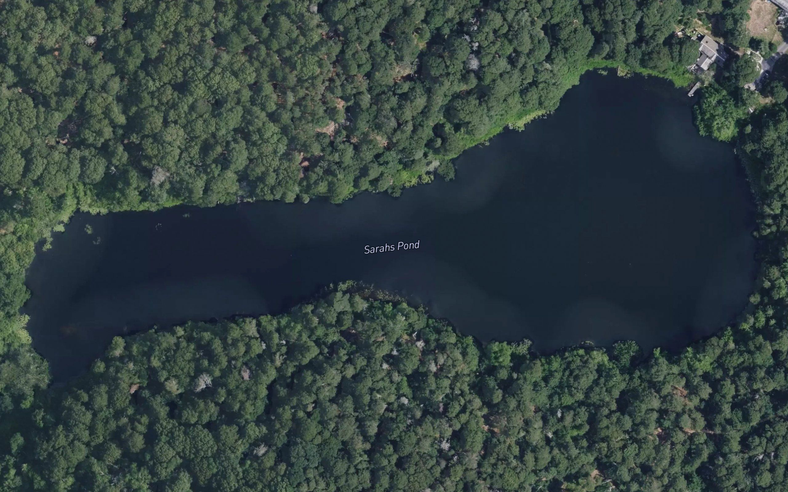 Sarahs Pond