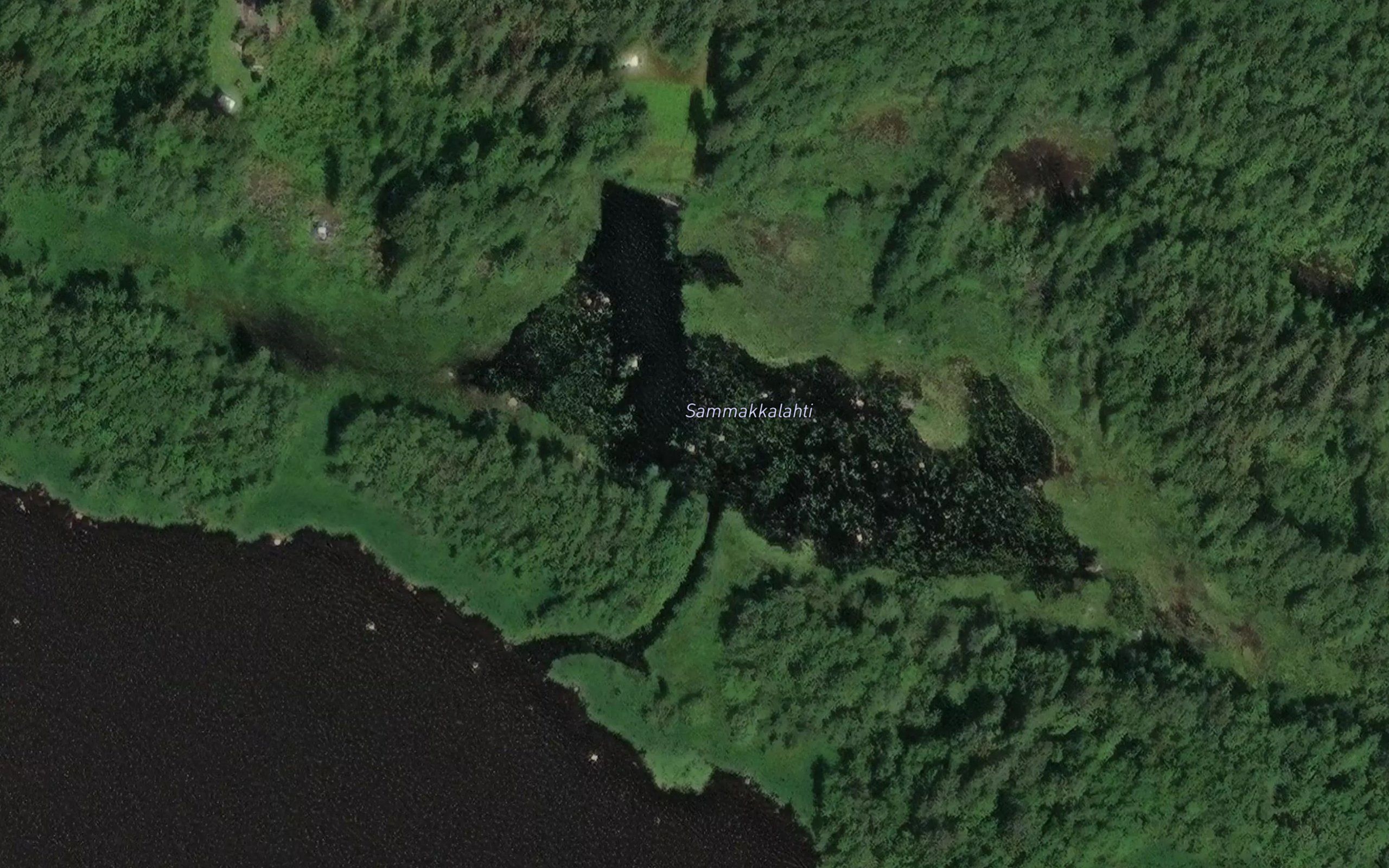 Sammakkalahti