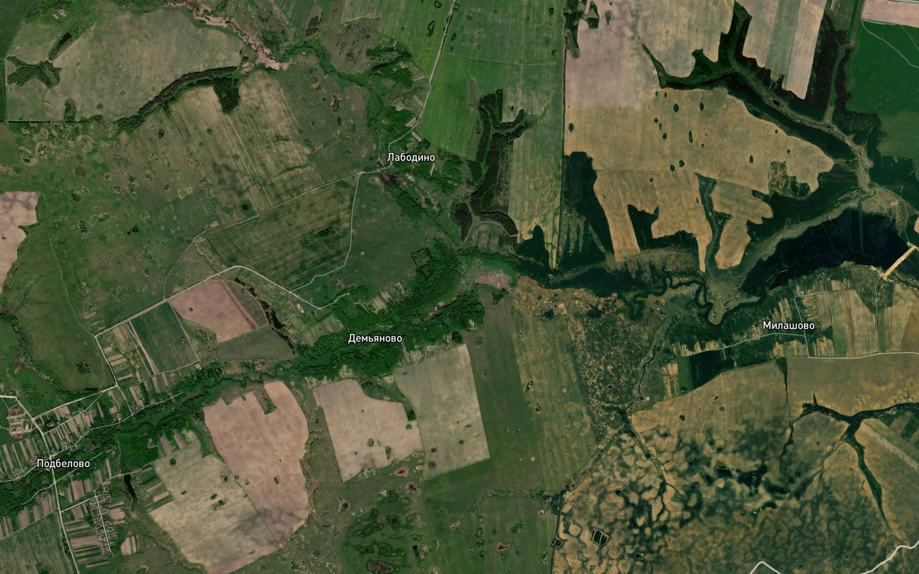 Satellite map of the Kostitsa