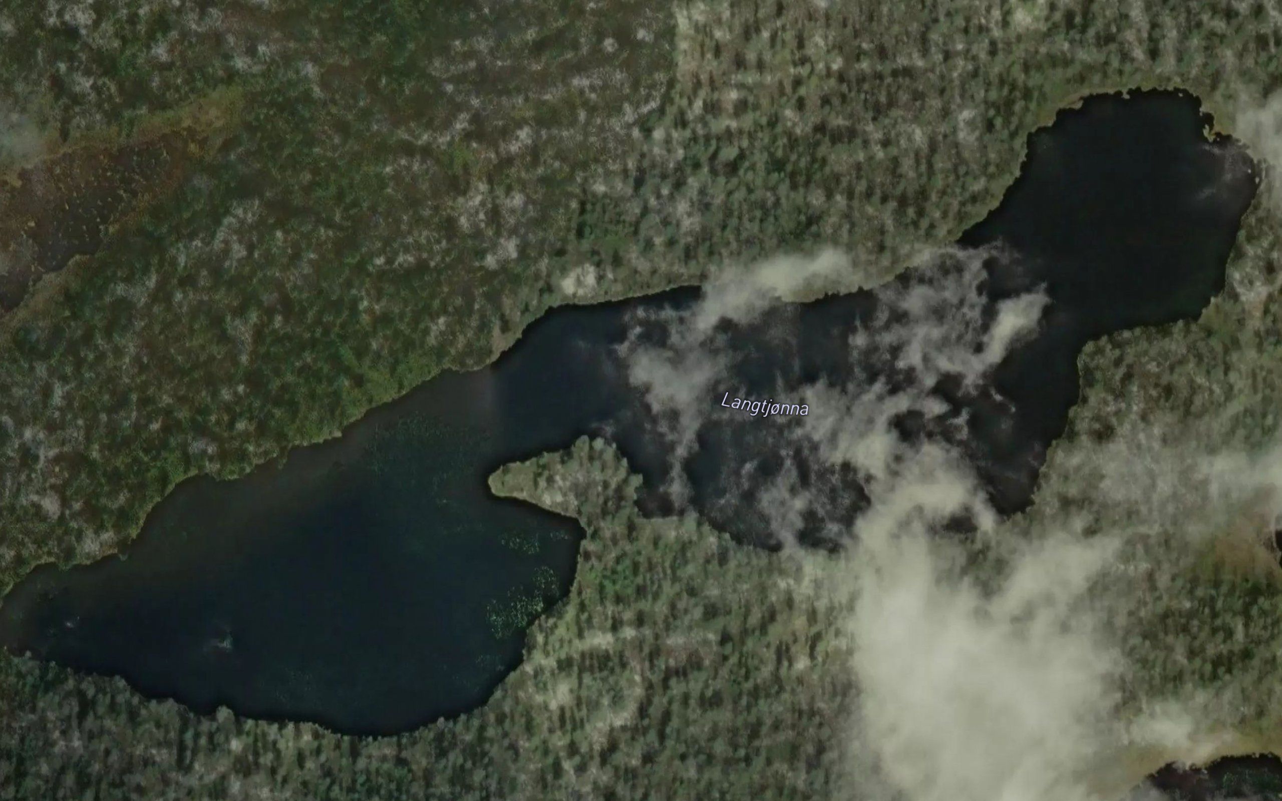 Langtjorna