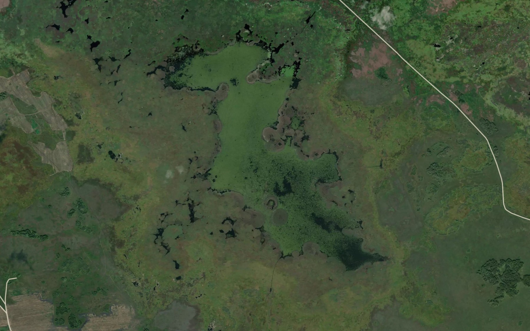 Satellite map of the Ozero Osinovoye