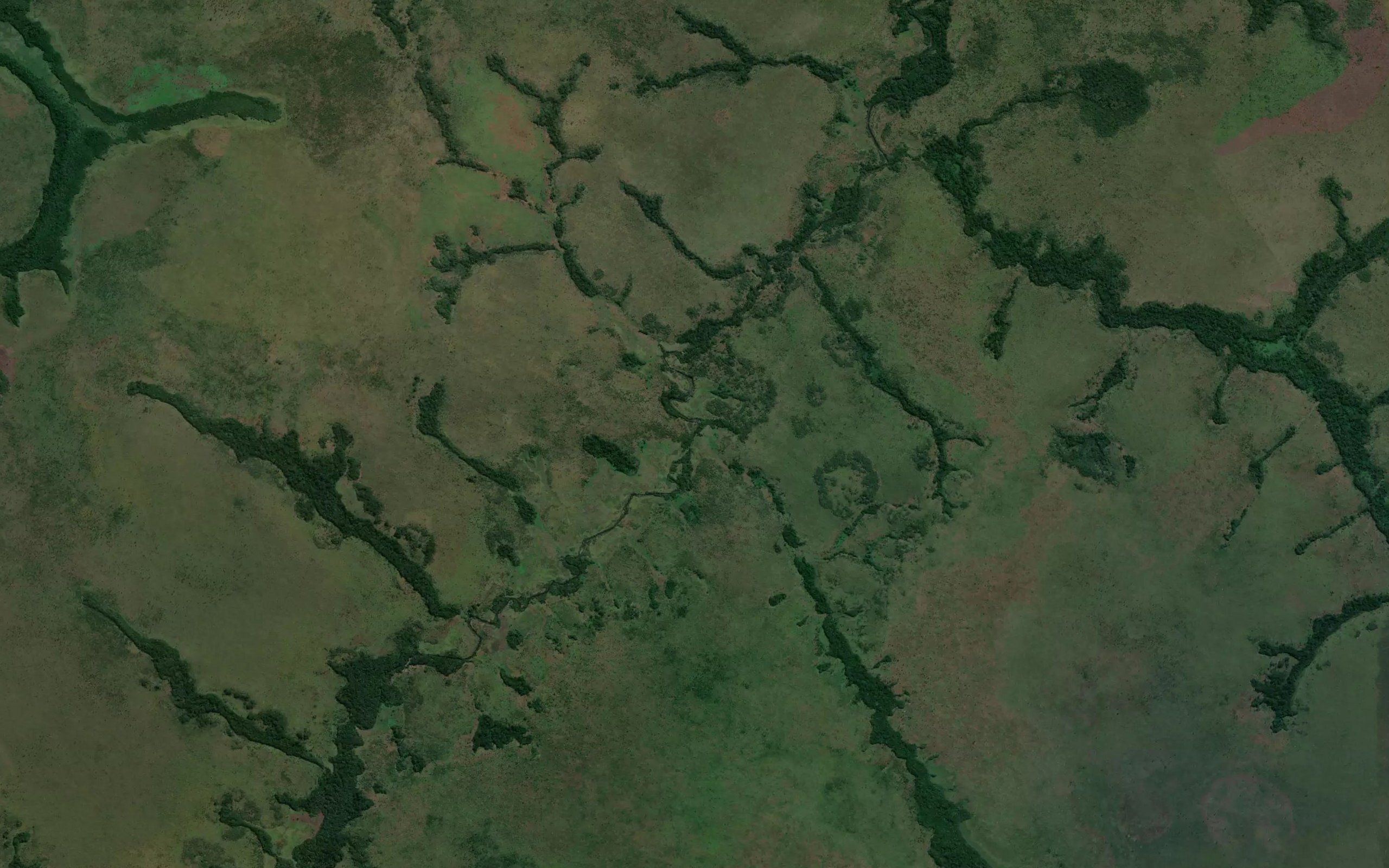 Kwasanga