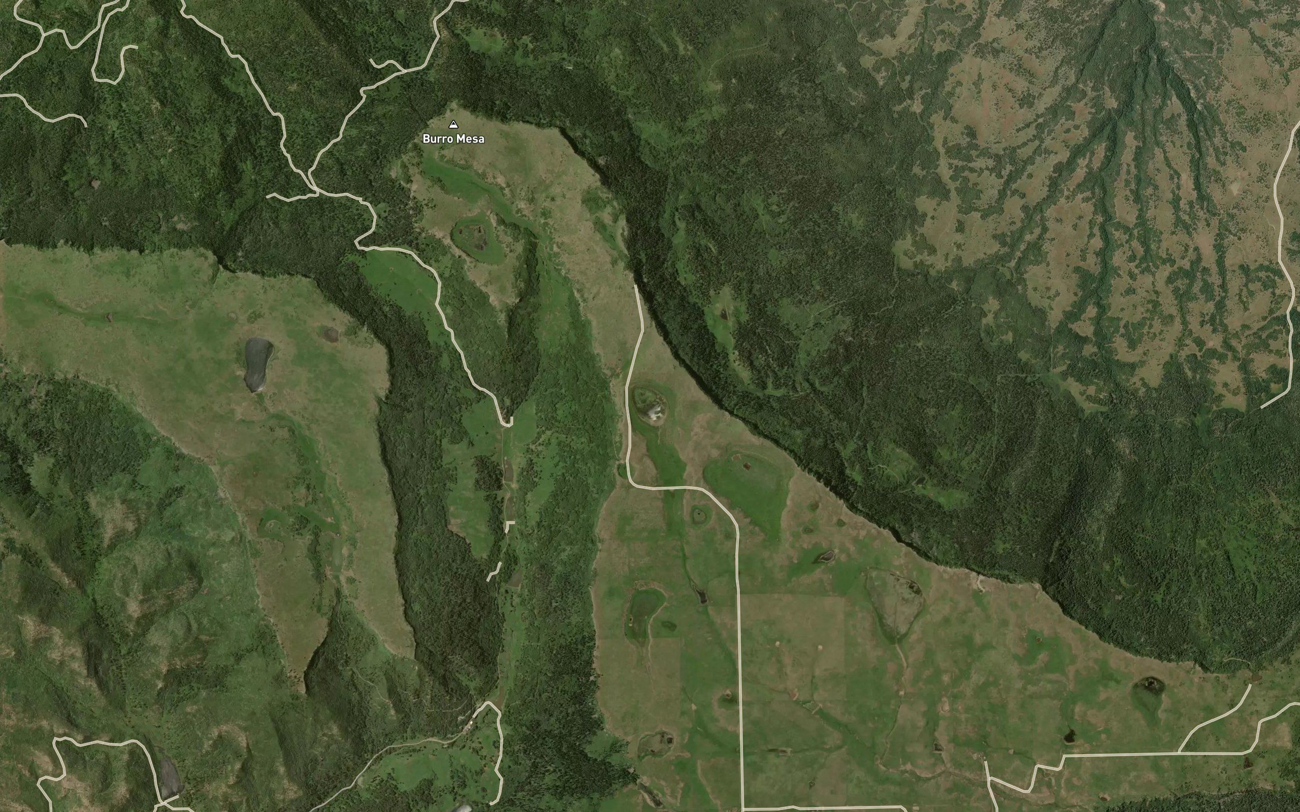 Dominguez Lake