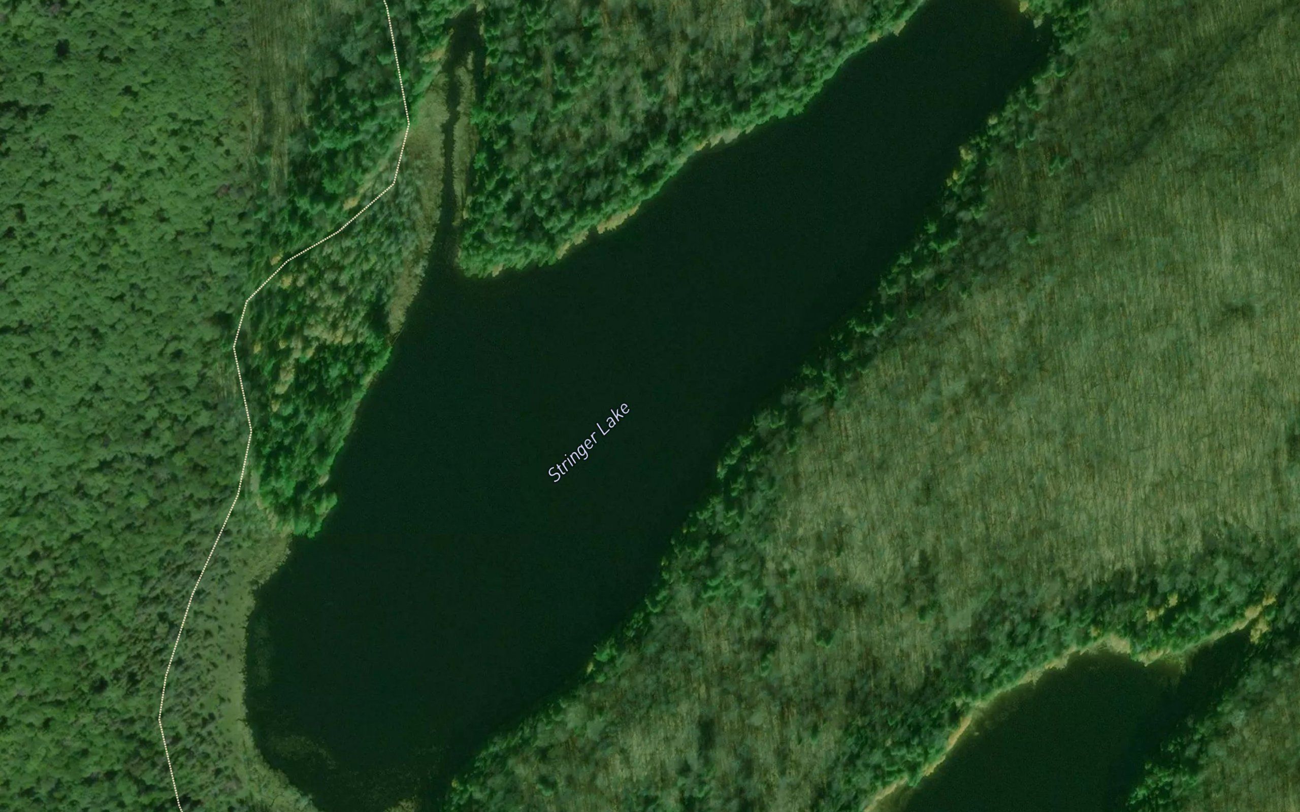 Stringer Lake