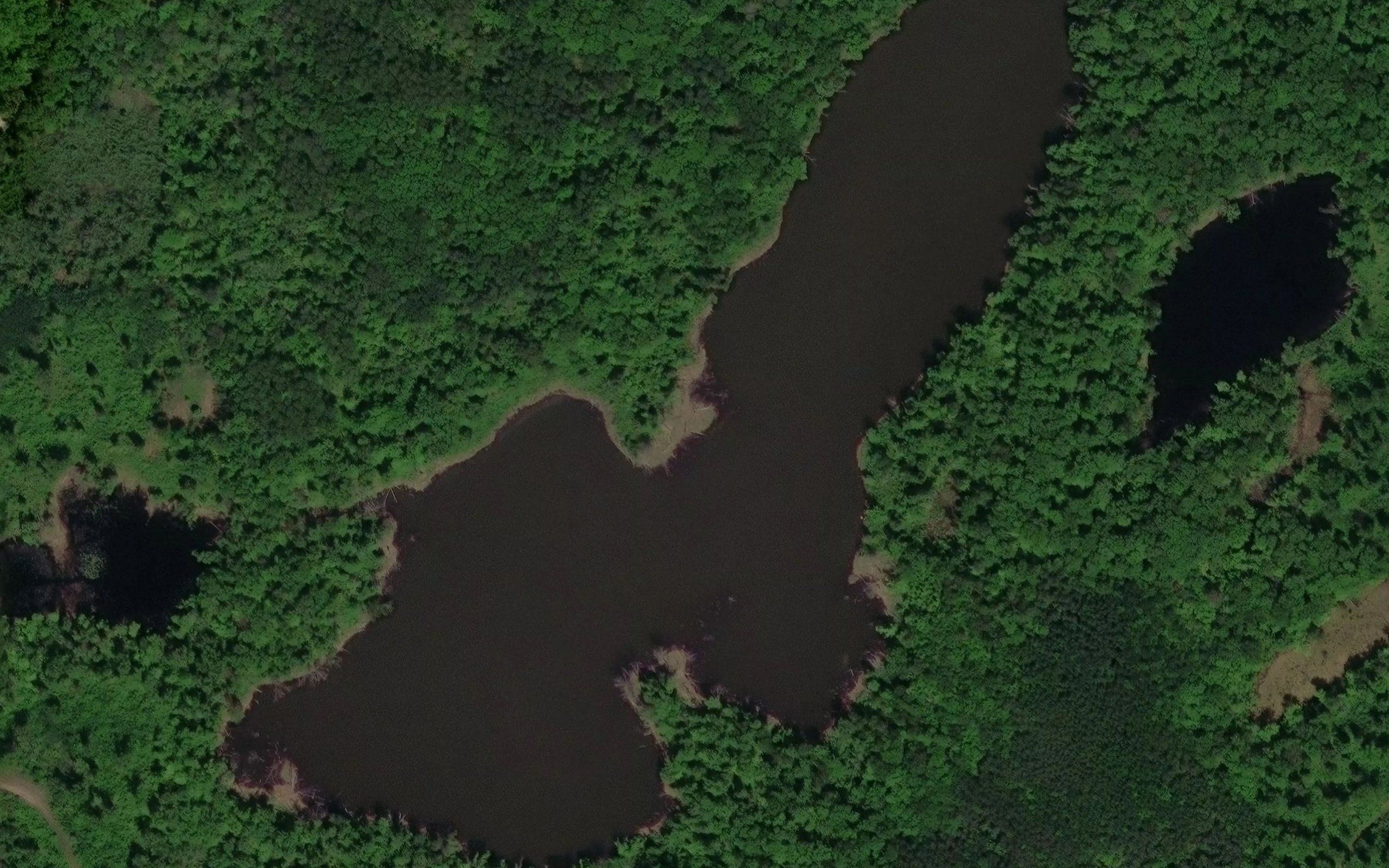 Stump Lake