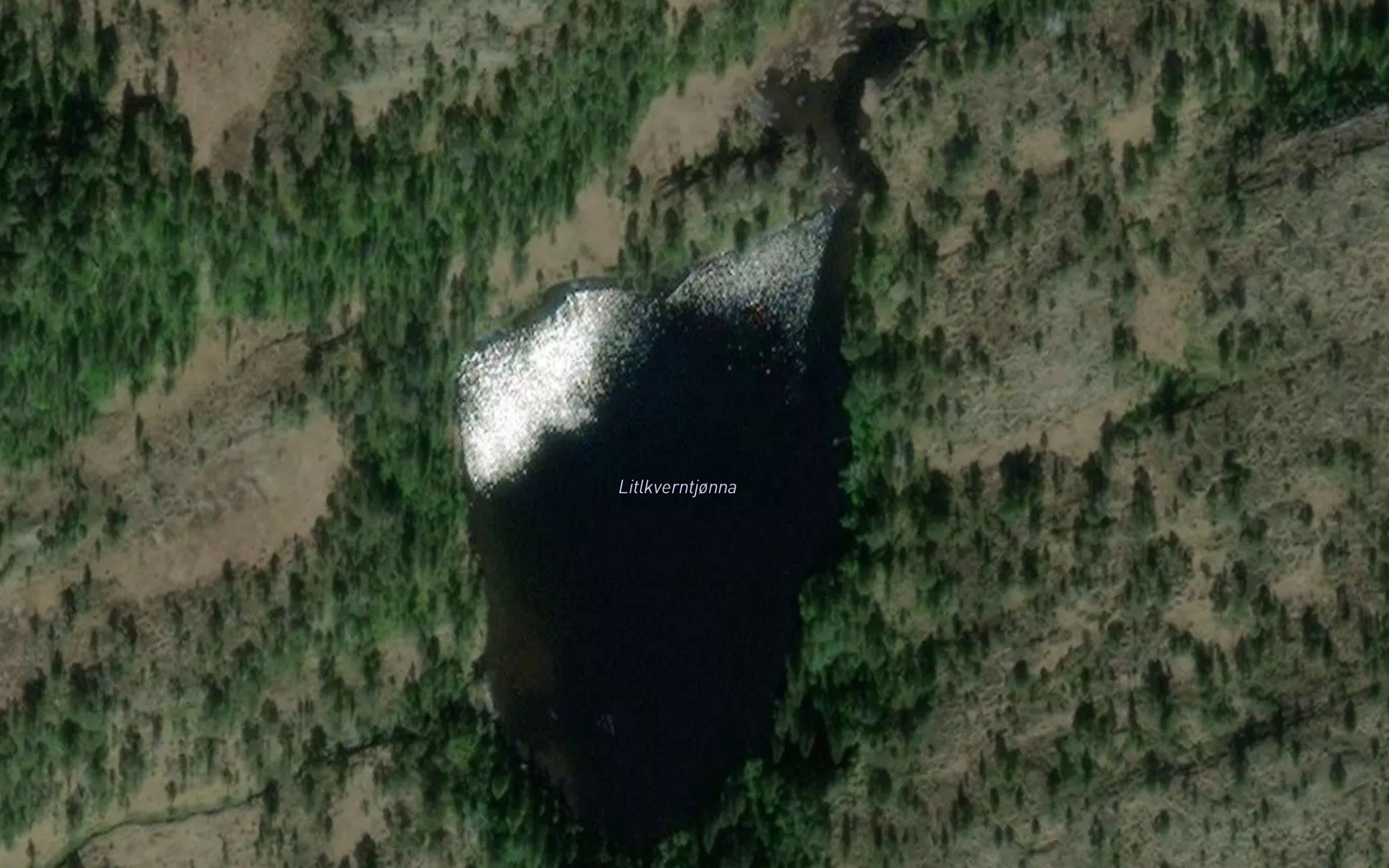 Litlkverntjorna